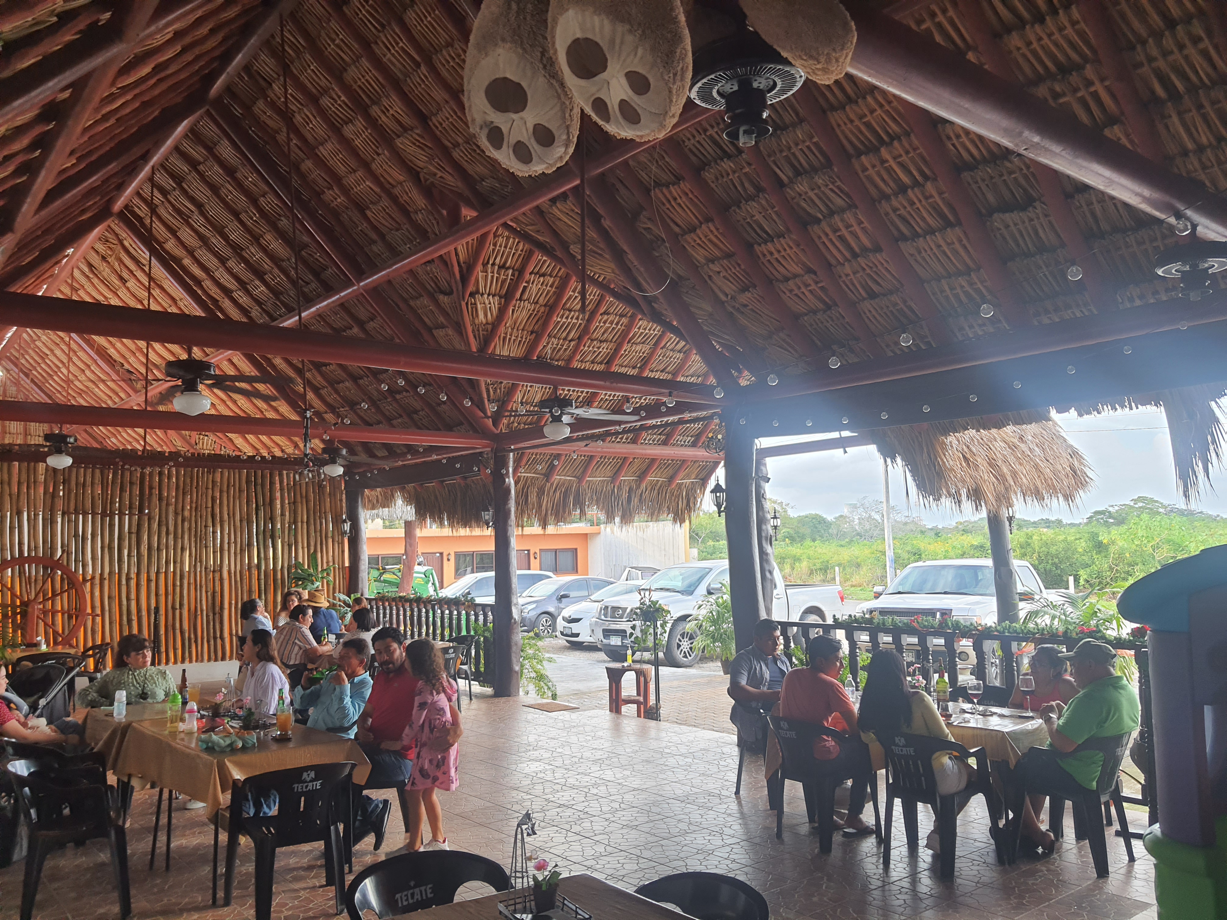 La Palapa de Tocho image 1