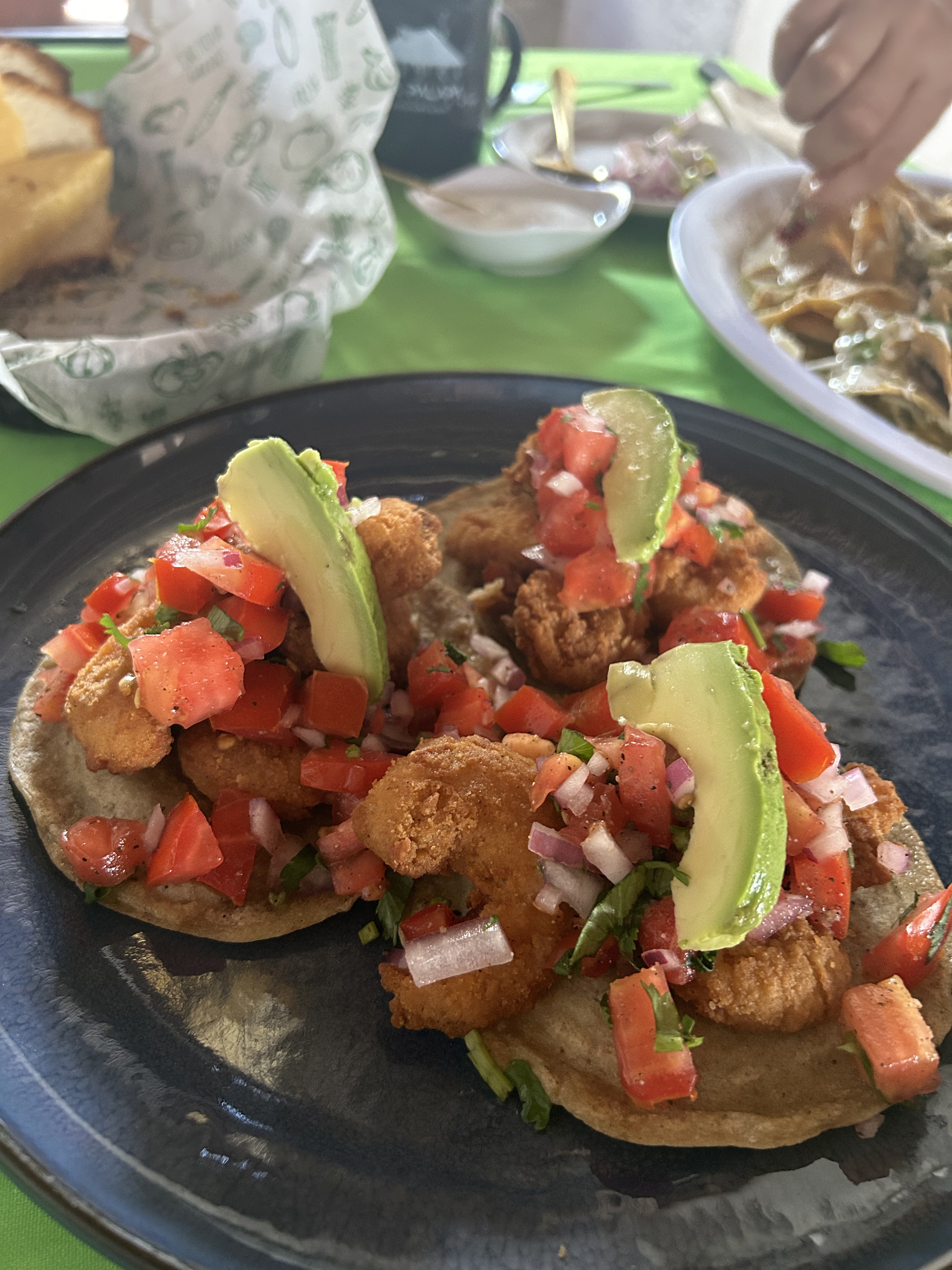 La Palapa de Tocho image 3