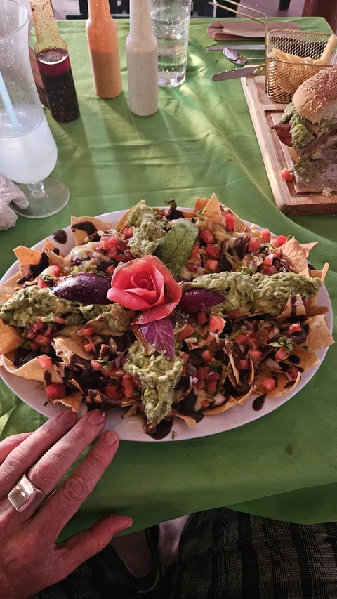 La Palapa de Tocho image 5