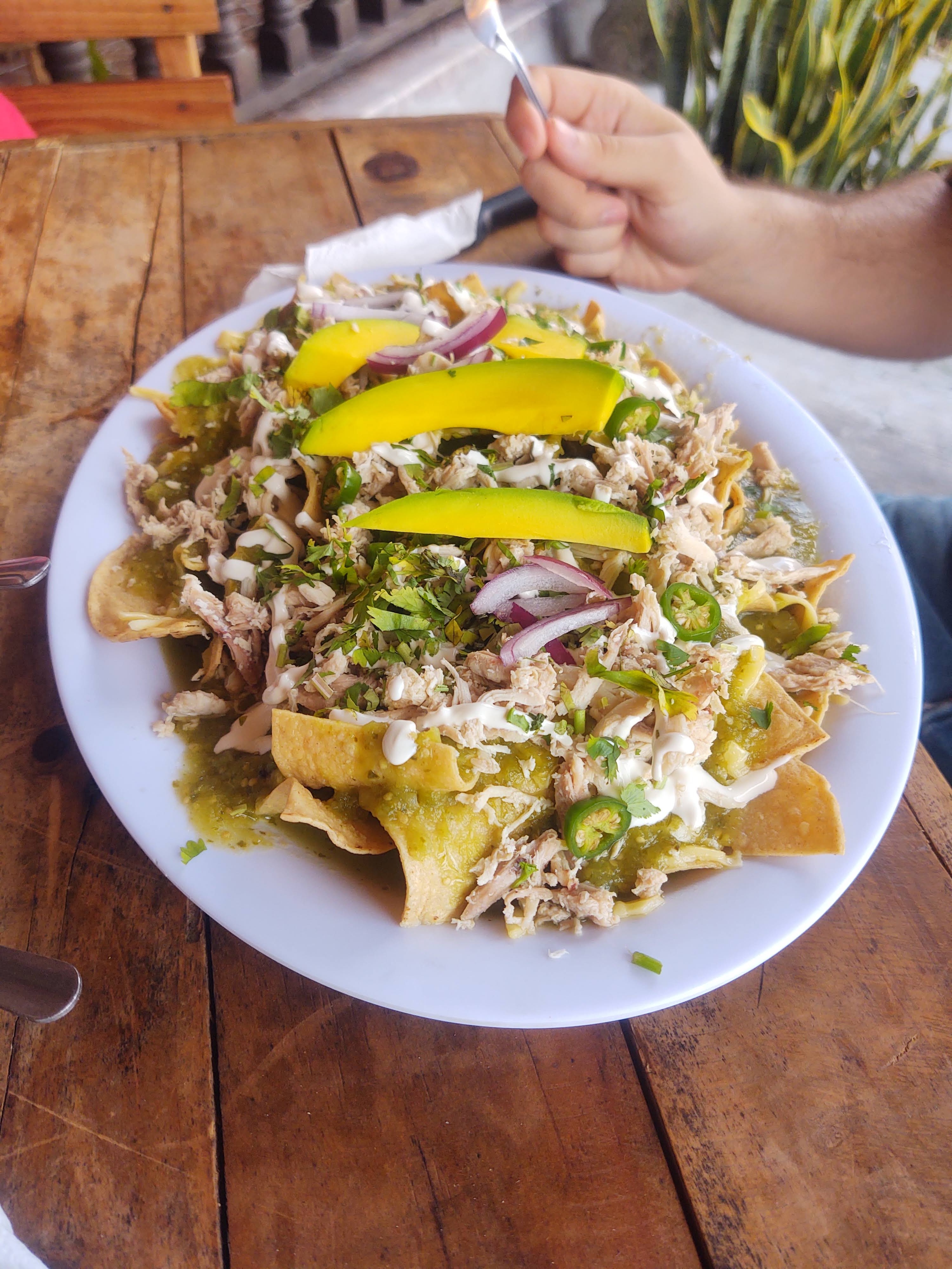 La Palapa de Tocho image 6