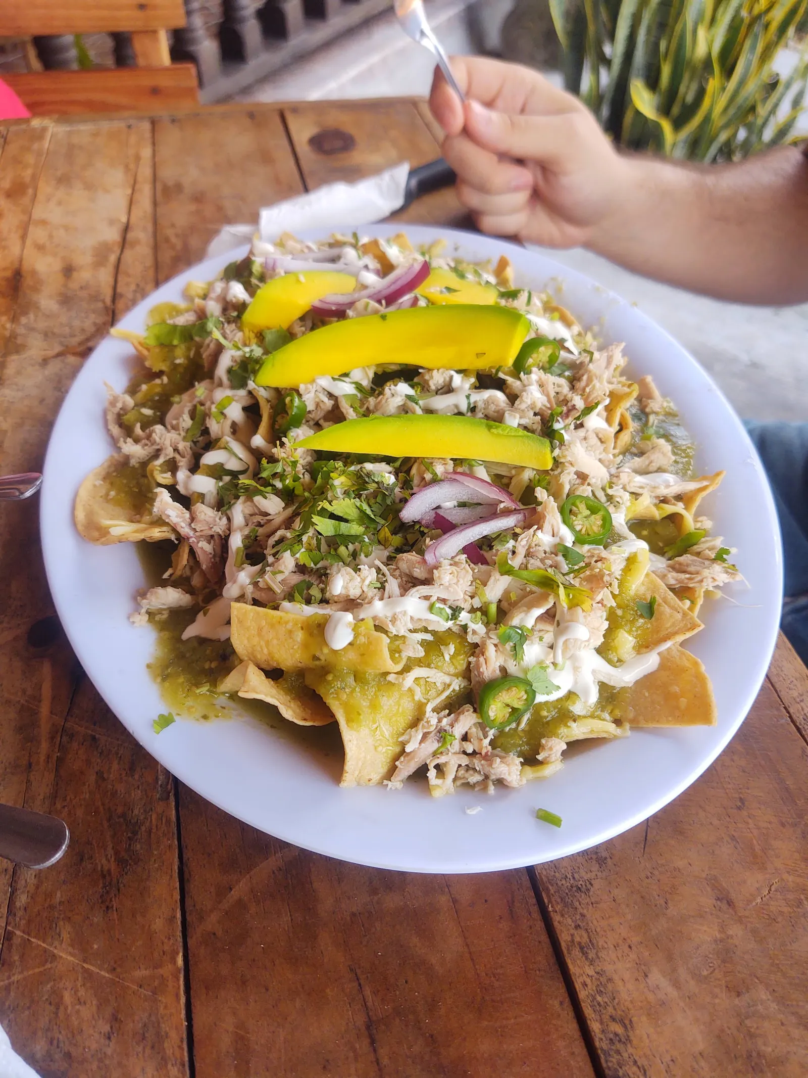 La Palapa de Tocho image 6