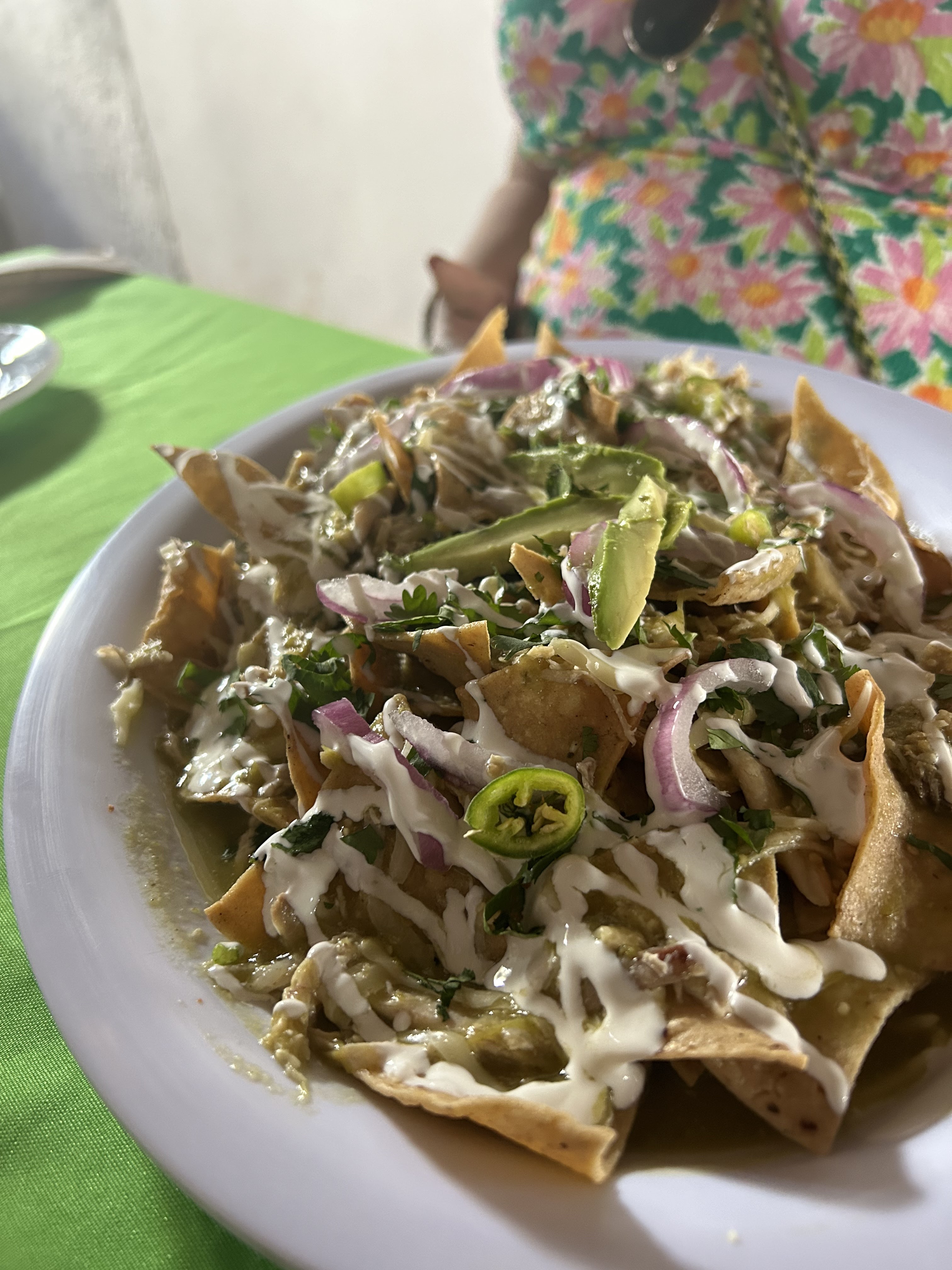 La Palapa de Tocho image 8