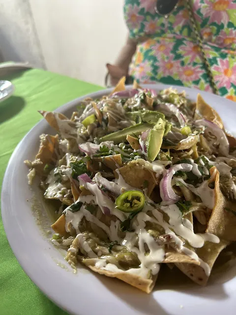 La Palapa de Tocho image 8