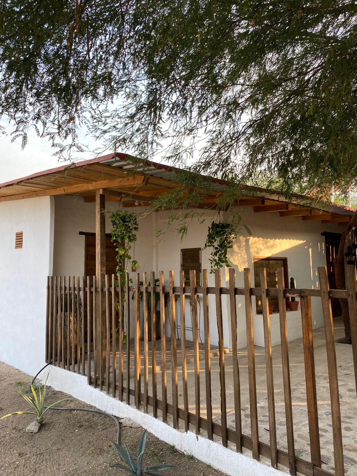 La Encantada Restaurante image 5