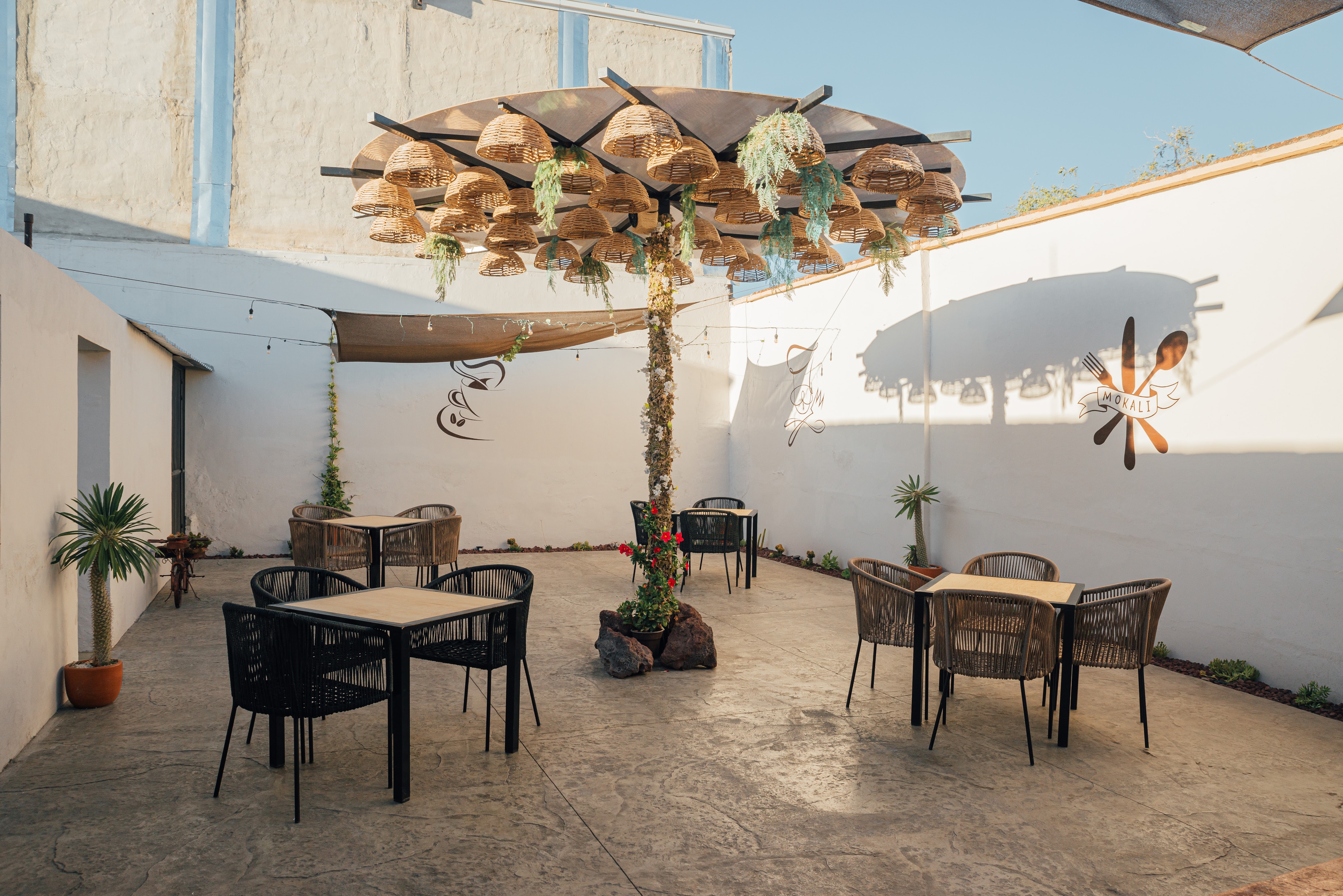 Mo-kali Cafe image 1