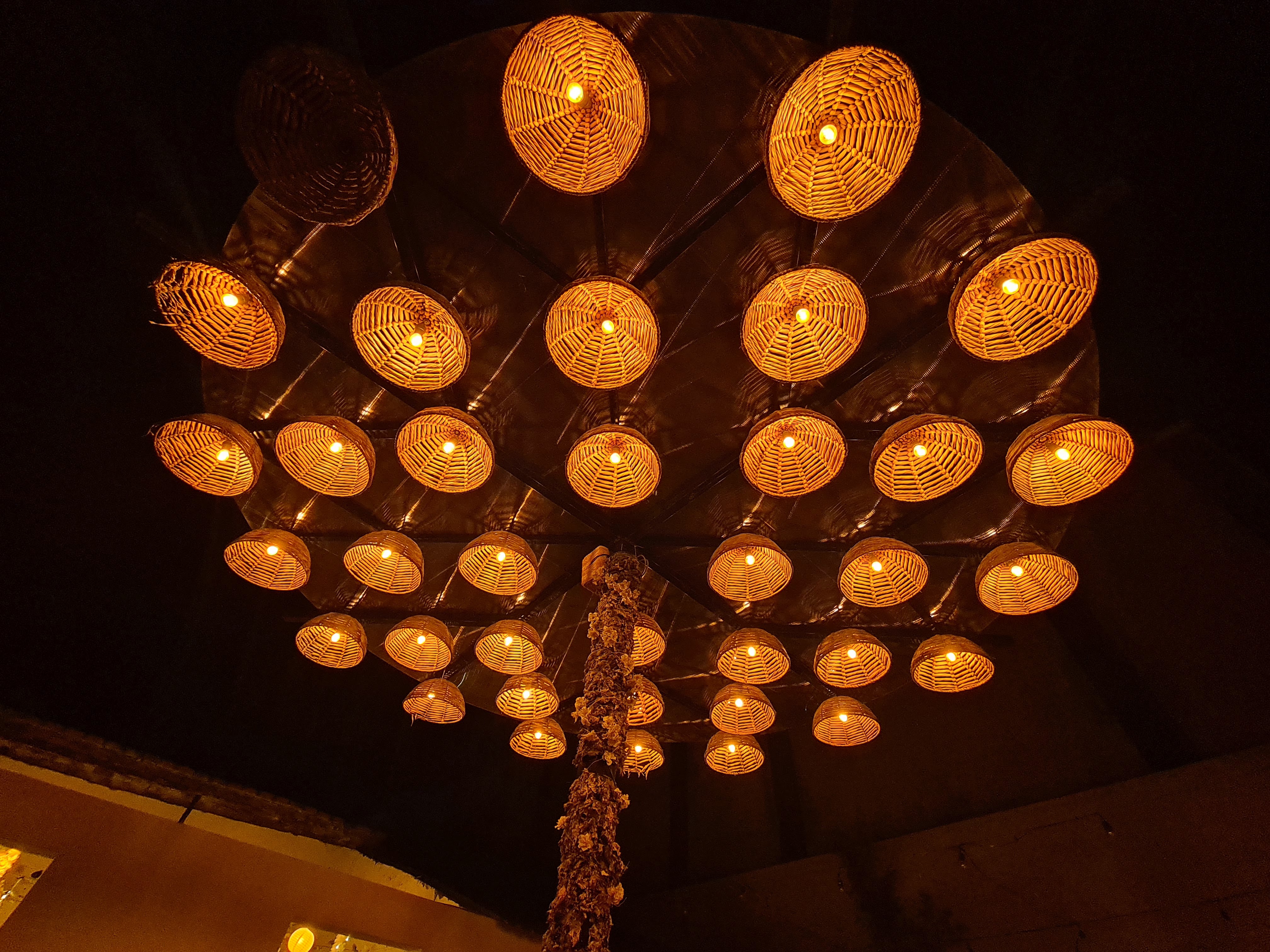 Mo-kali Cafe image 5