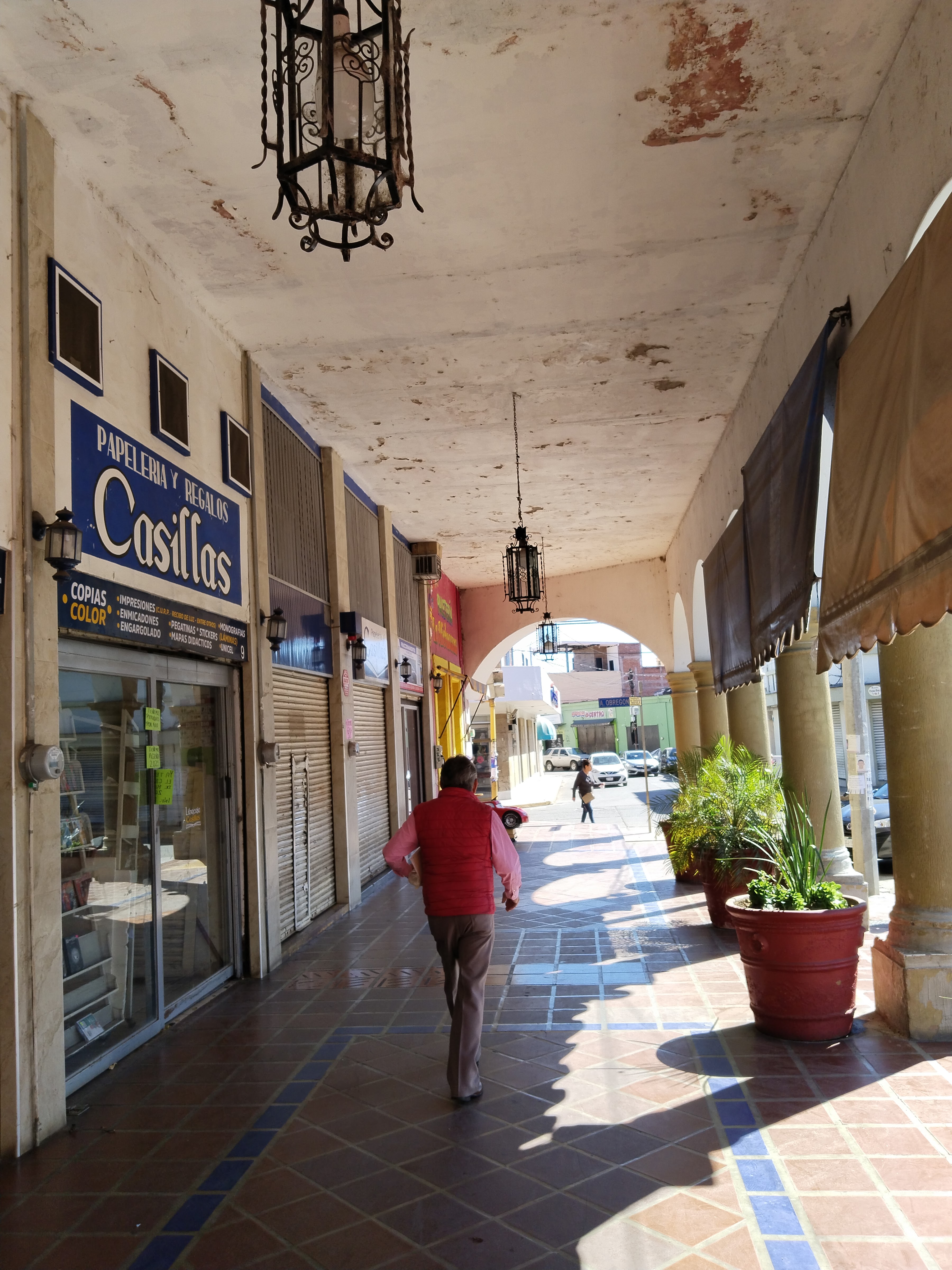 Long Fa Camida China Autlán image 5