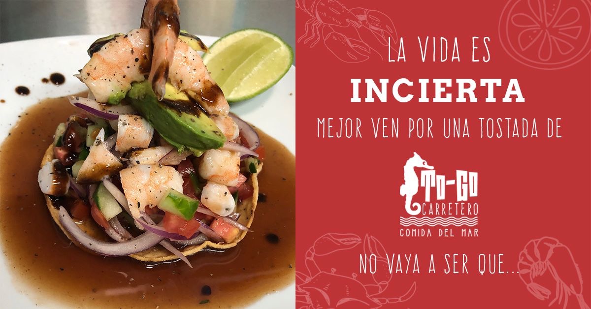 TO-GO CARRETERO image 2