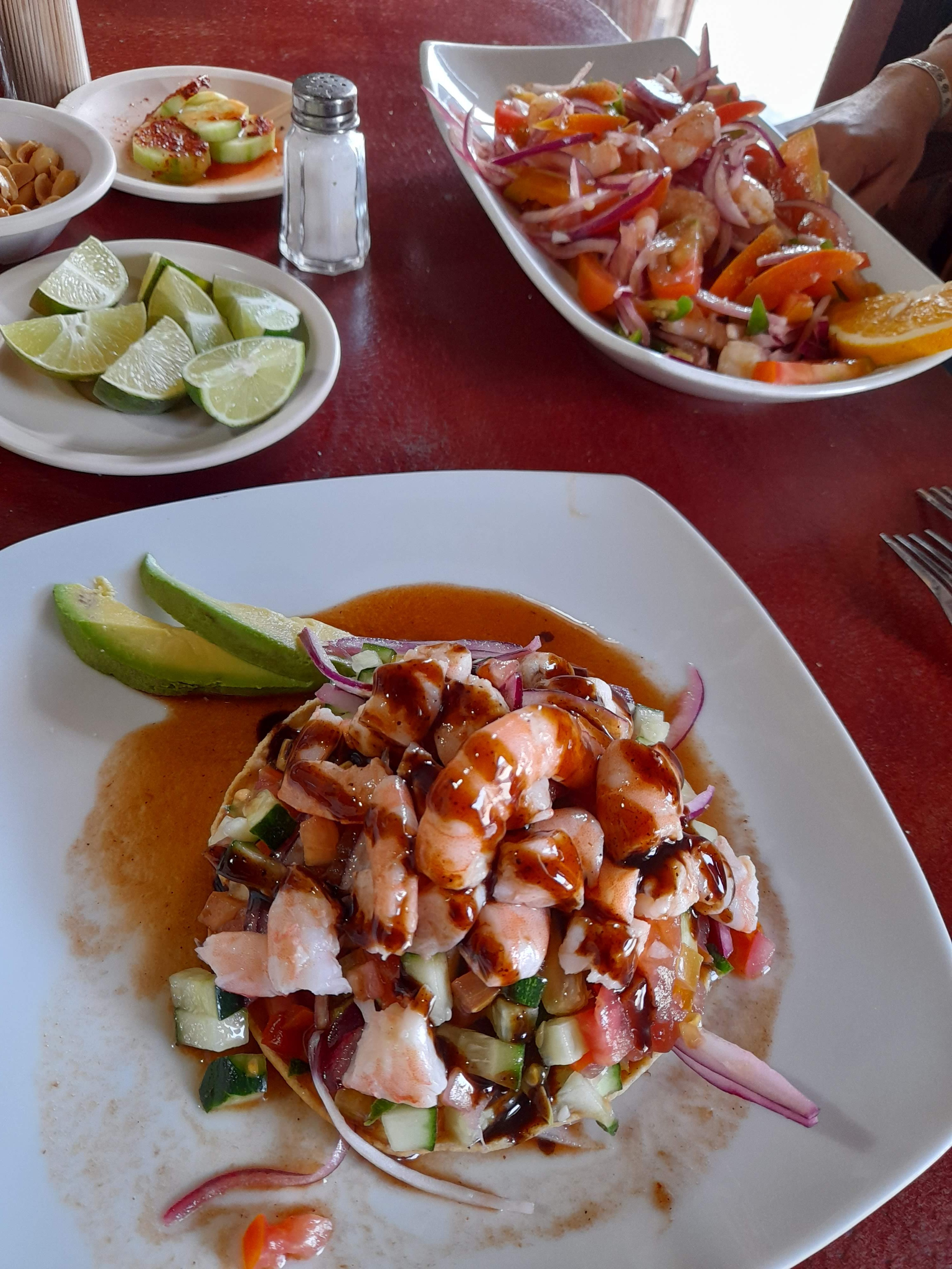 TO-GO CARRETERO image 3