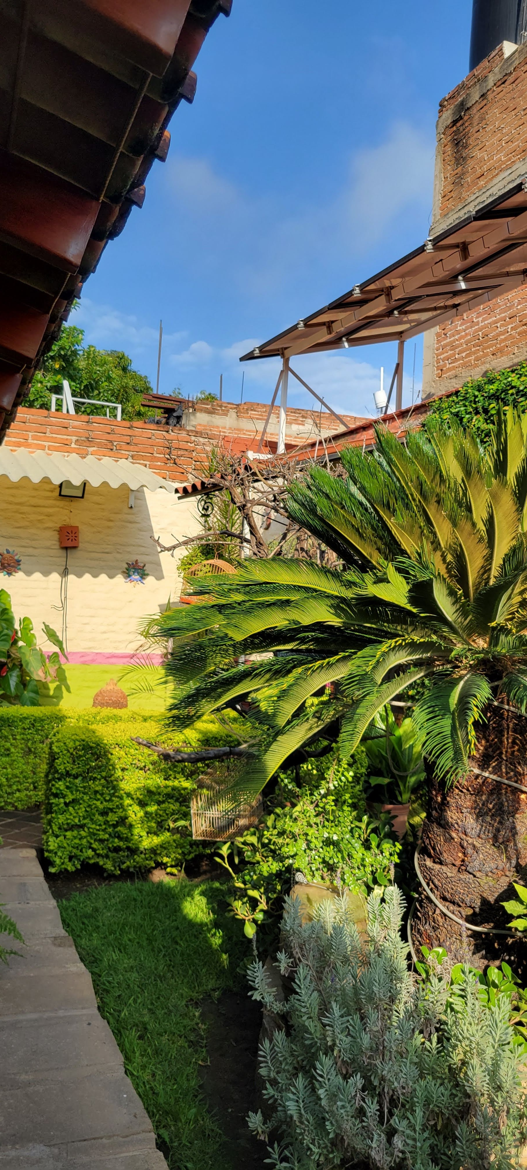 Super Tortas Ahogadas El Trompo image 6