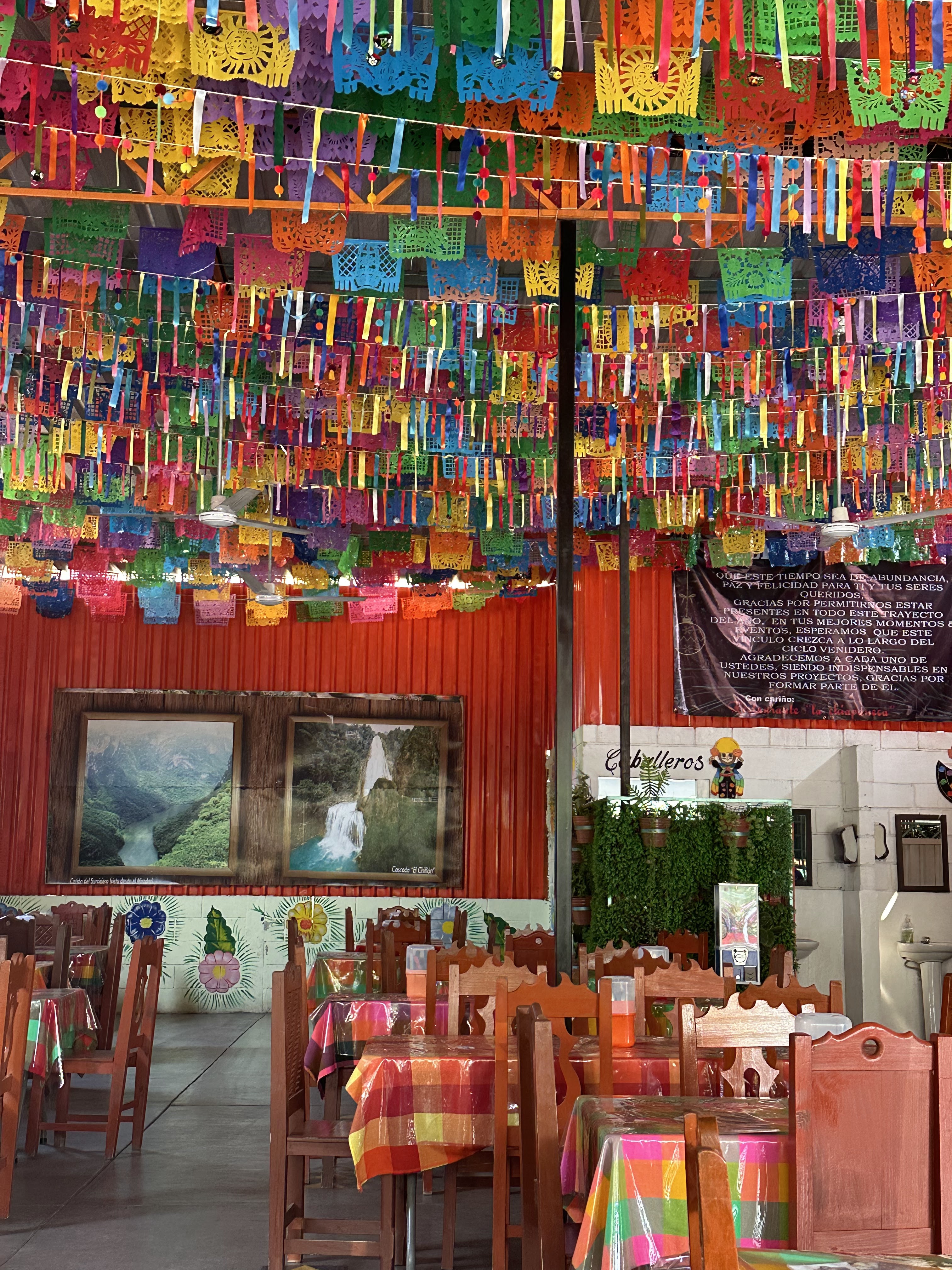 La Chiapaneca [Chiapa de Corzo] image 3