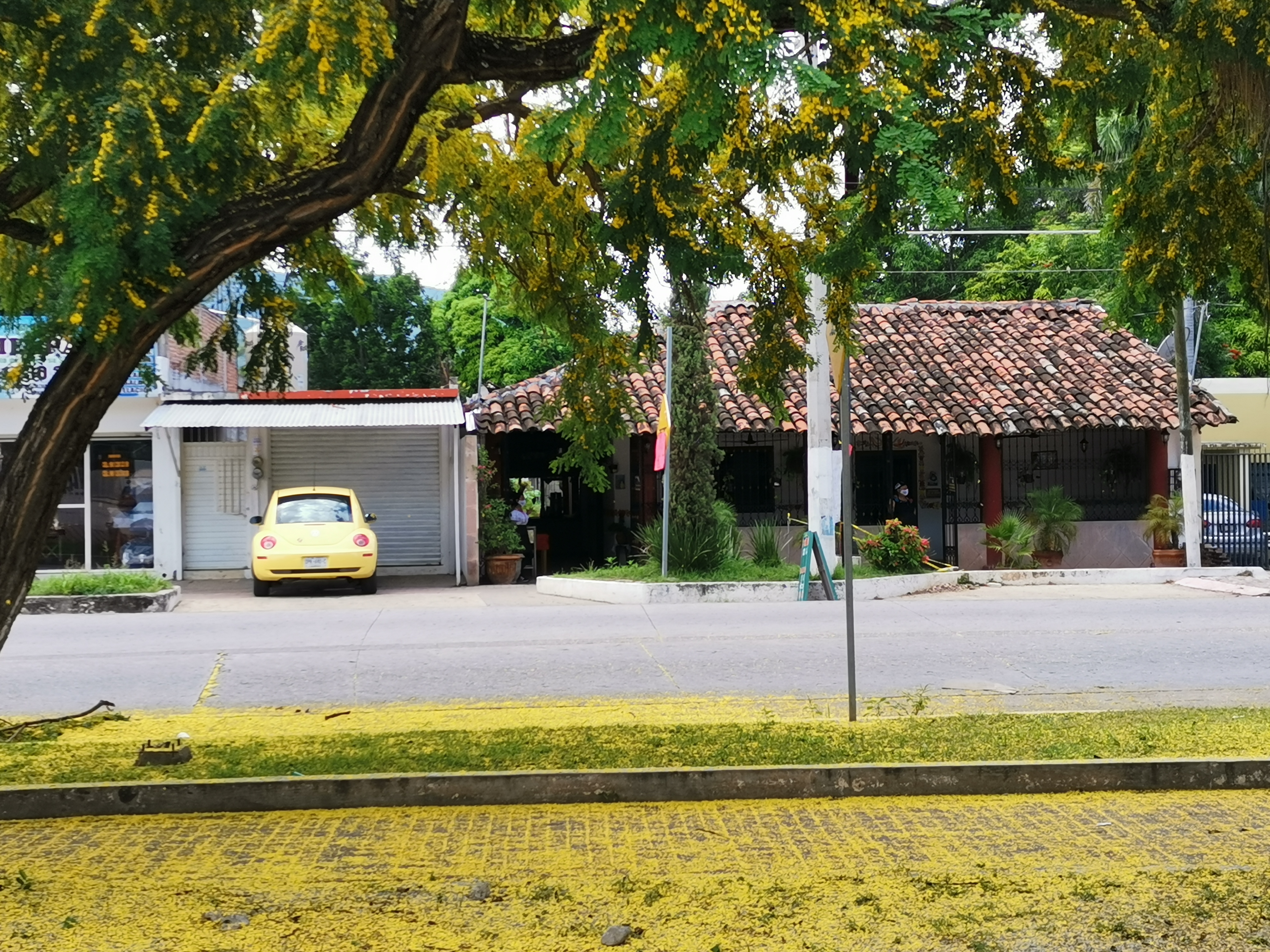 Casa Chiapaneca [Chiapa de Corzo] image 7