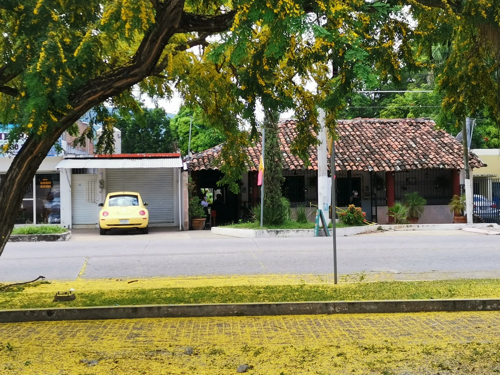 Casa Chiapaneca [Chiapa de Corzo] image 7