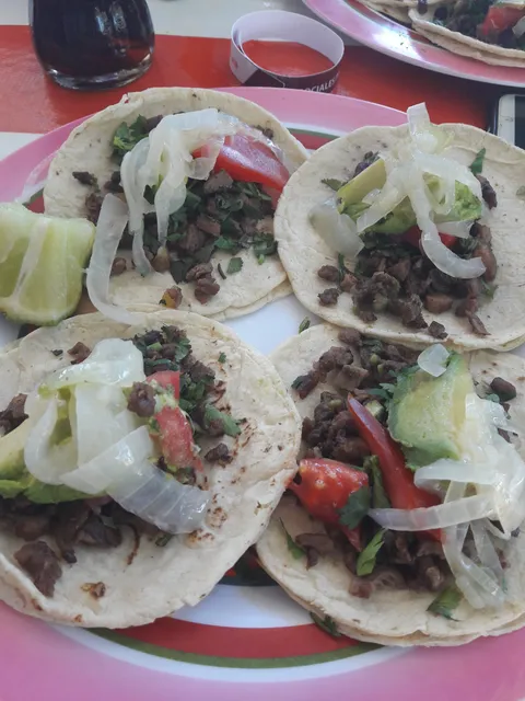 Taqueria El Toluco image 6