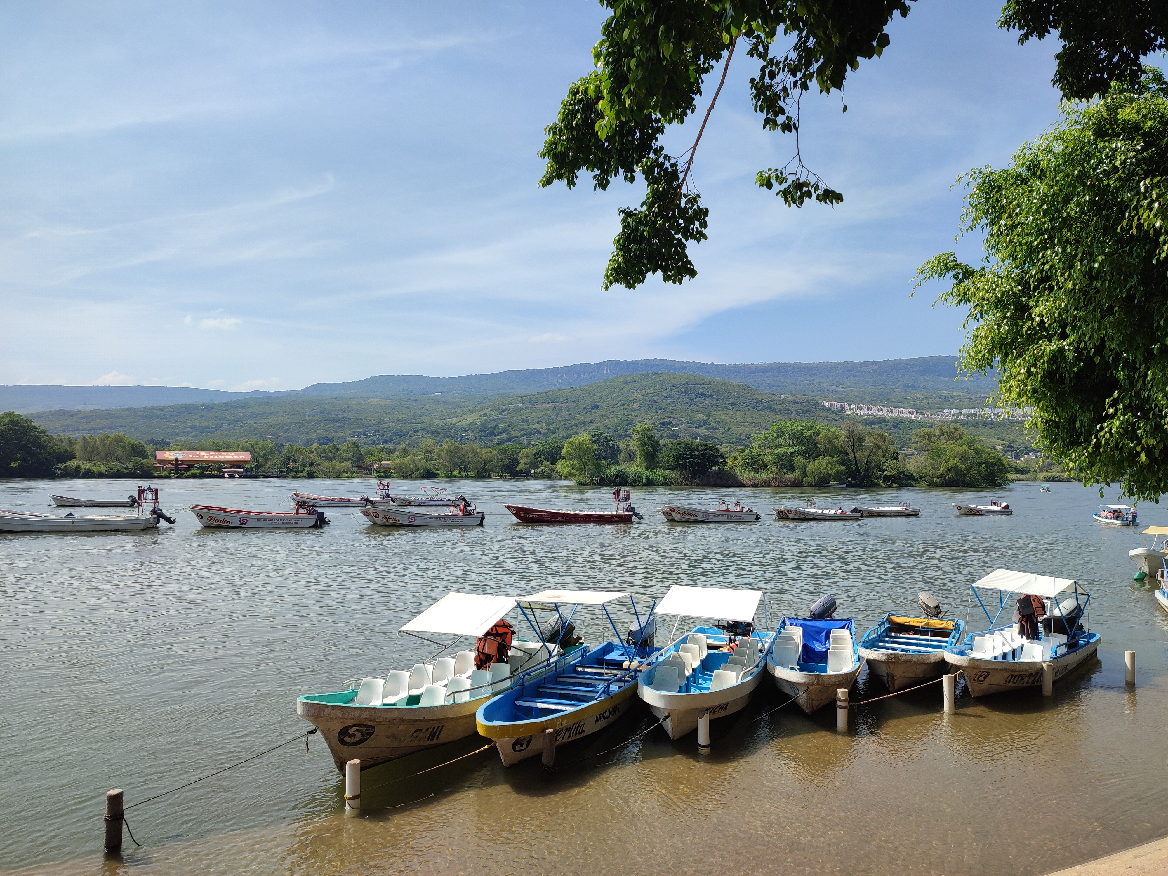 Restaurante Turistico Familiar Boca del Río image 5