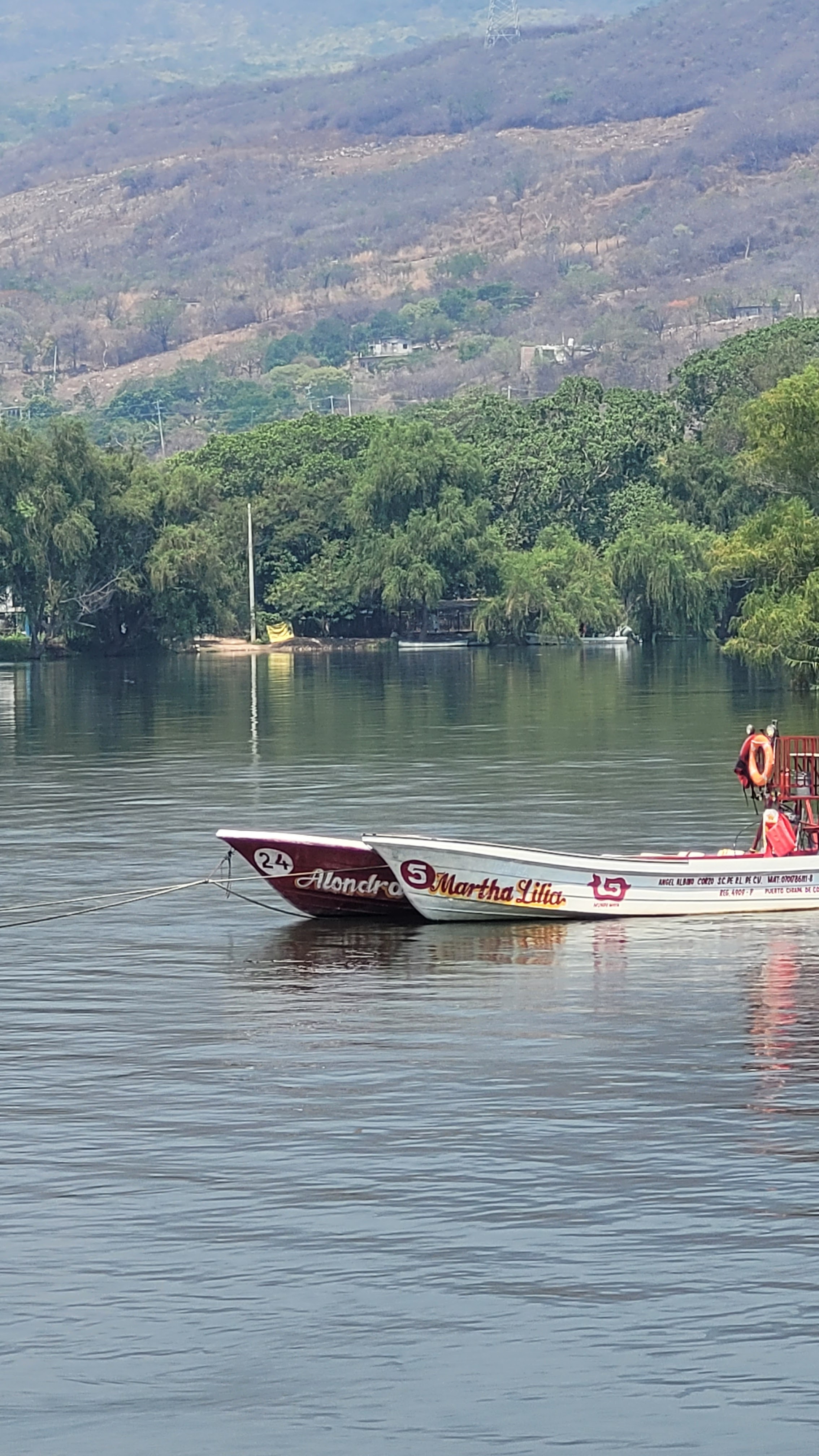 Restaurante Turistico Familiar Boca del Río image 10