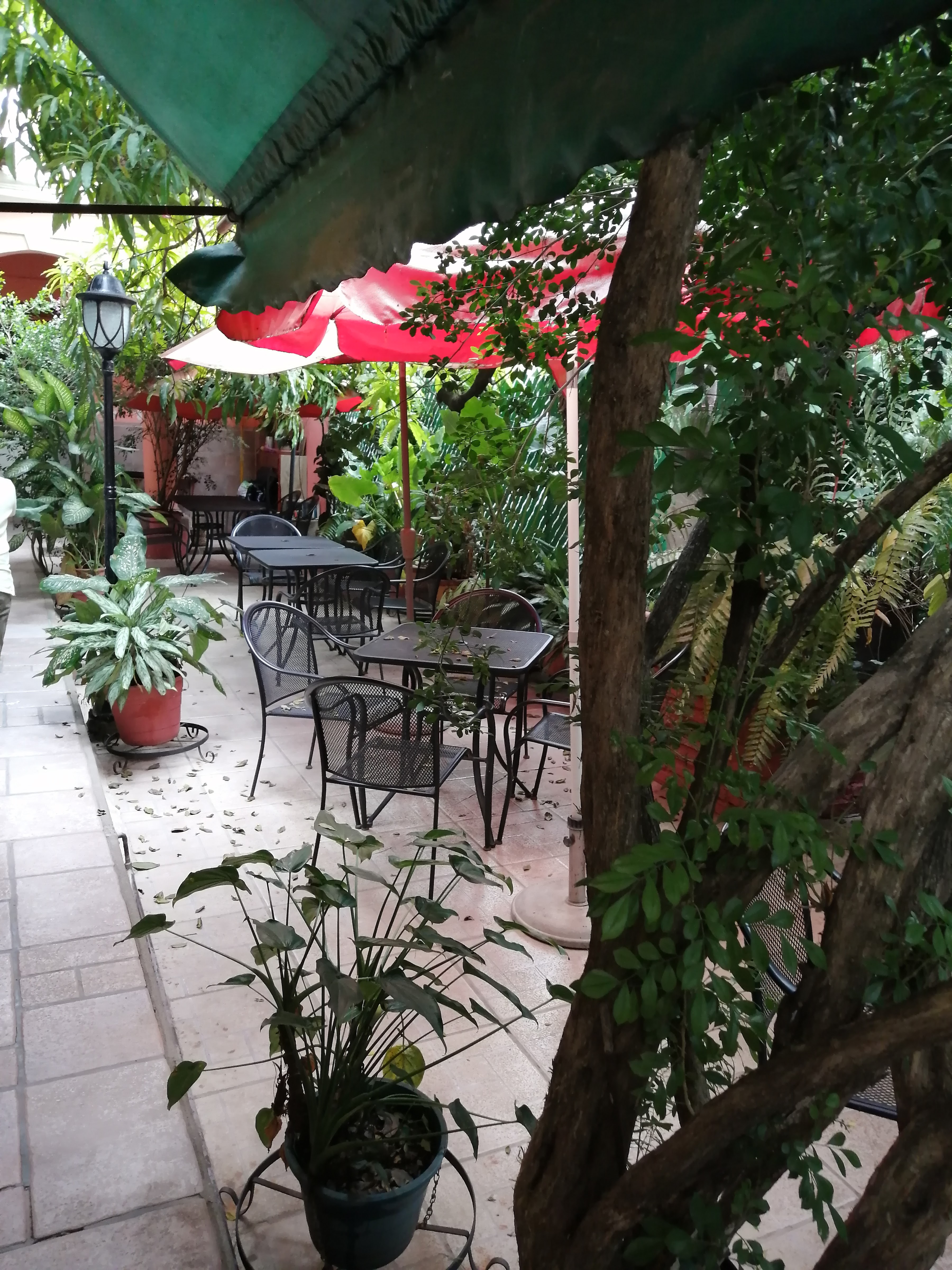 Restaurante Los Corredores image 4