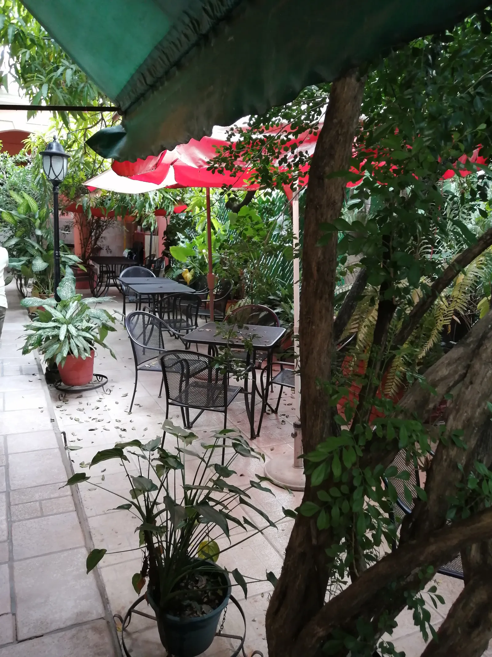 Restaurante Los Corredores image 4