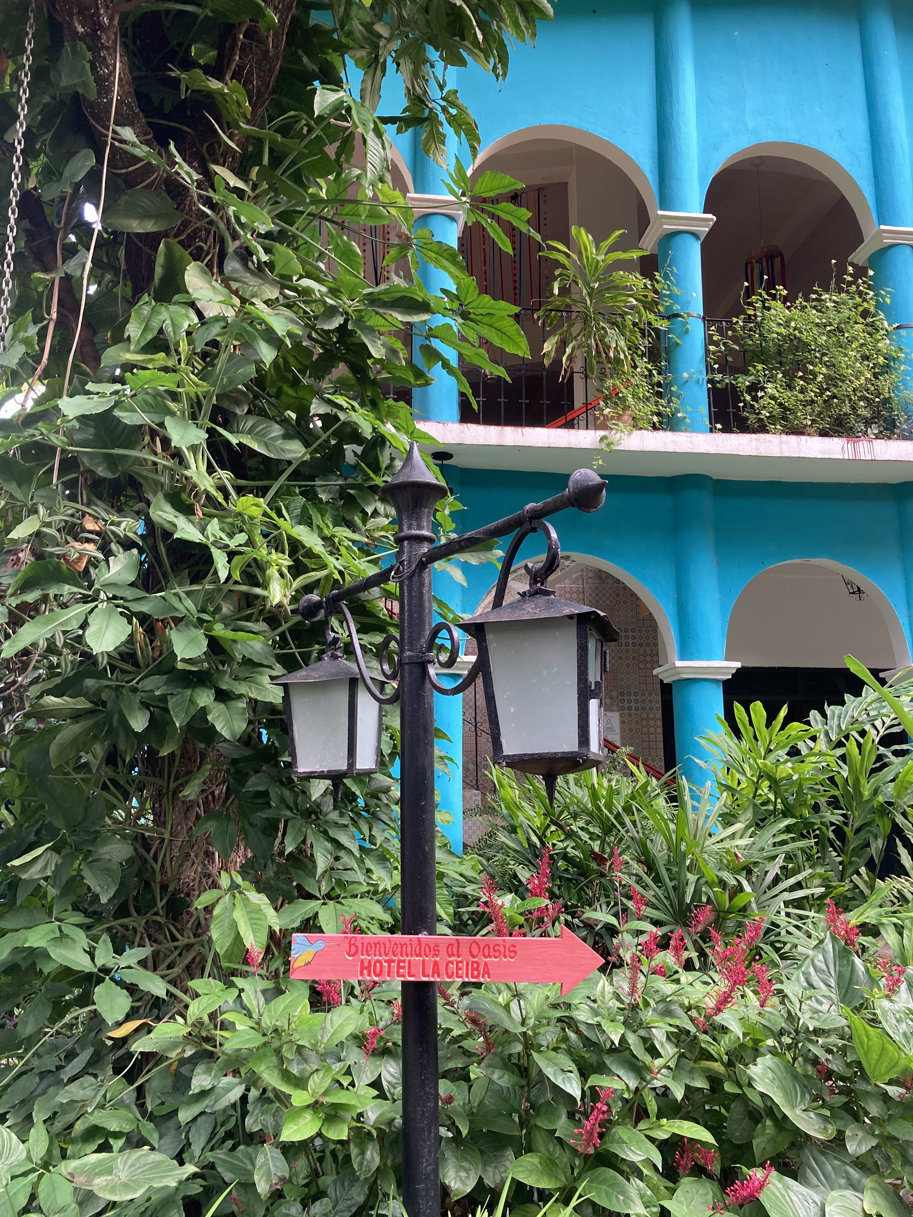 Restaurante Árbol de la Vida image 10