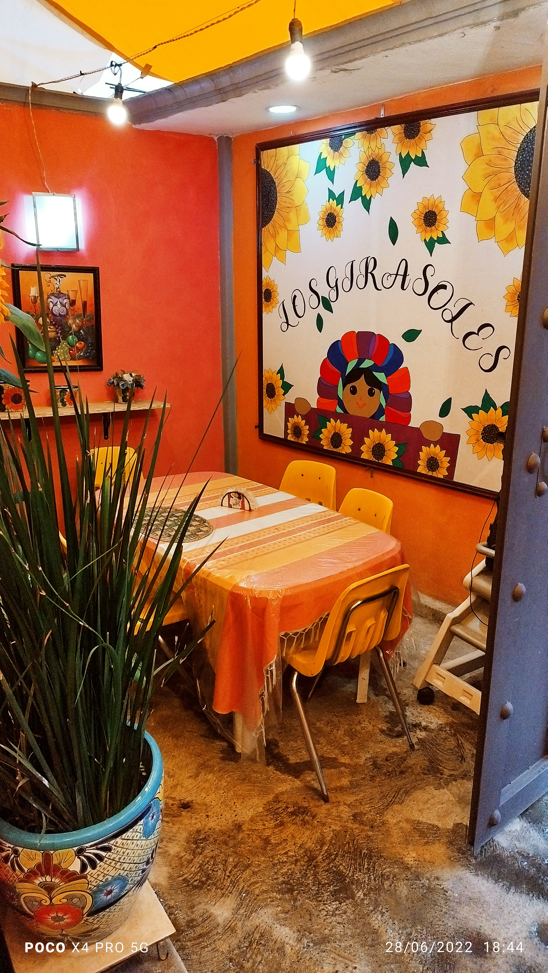 Restaurante Los Girasoles image 4