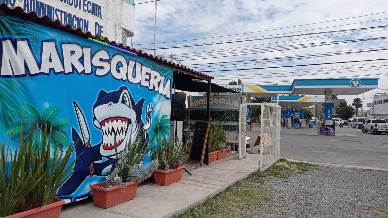 Marisquería el Megalodón image 1