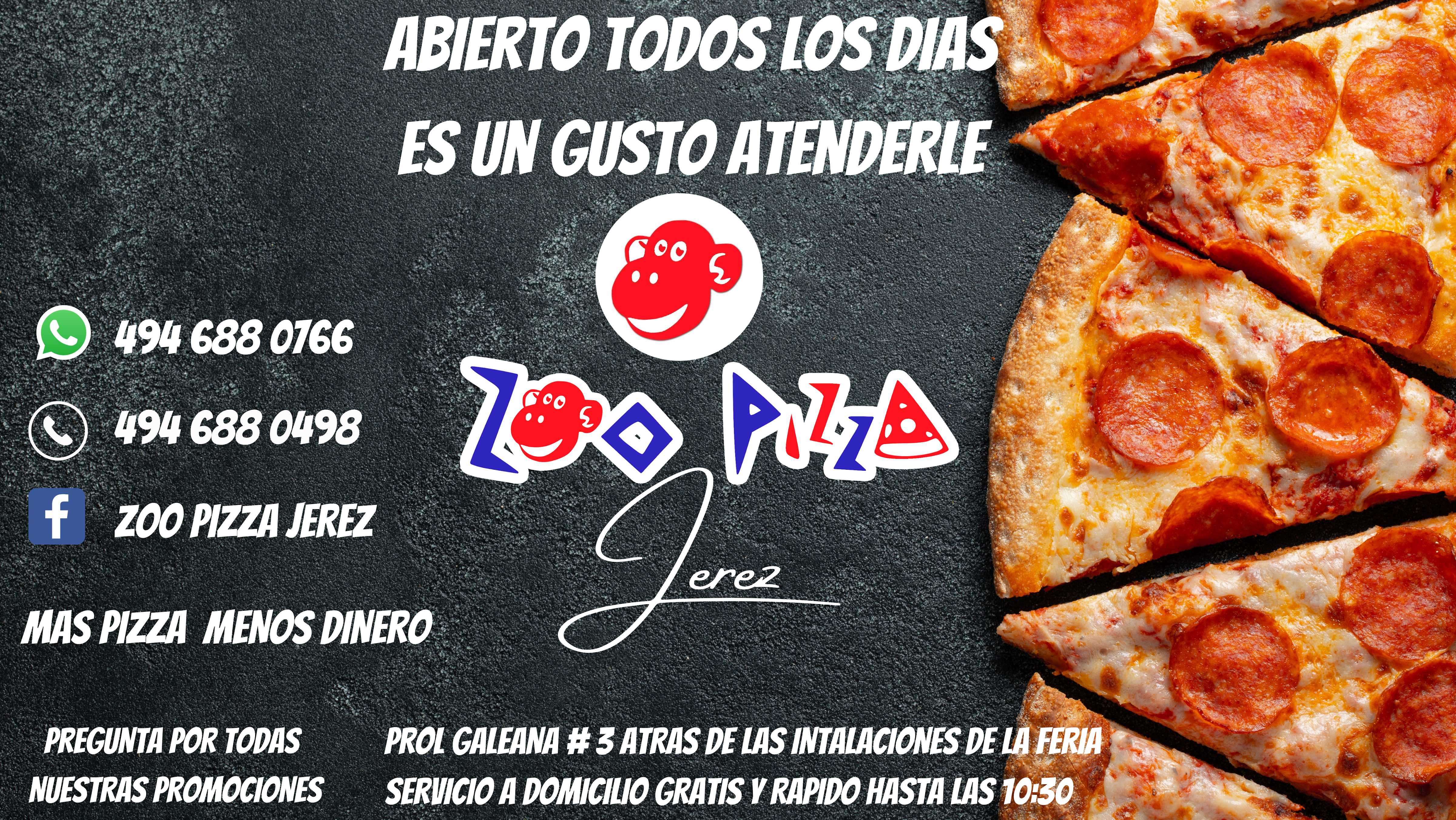 Zoo Pizza Jerez image 3