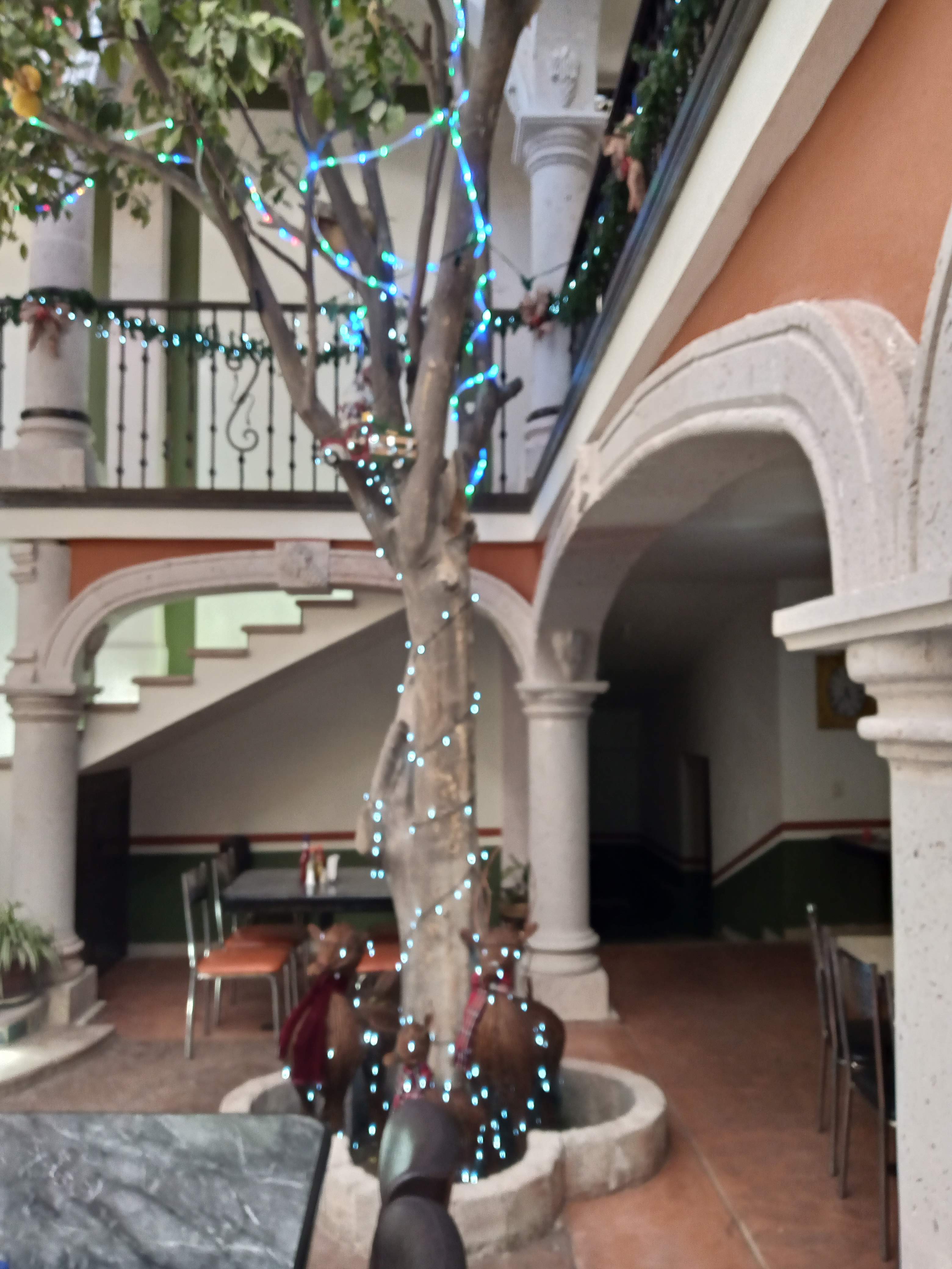 Mariscos 7 mares image 4