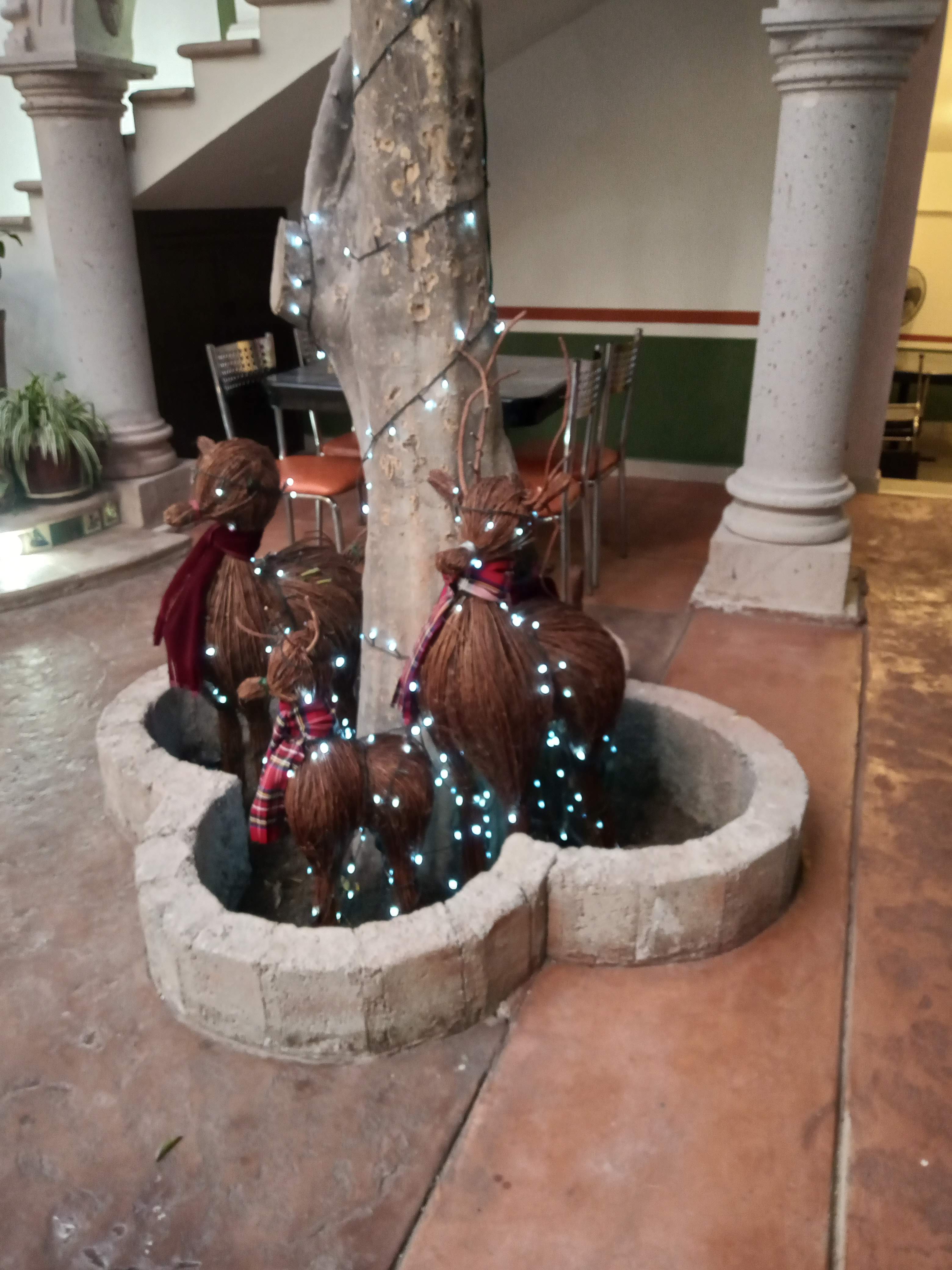 Mariscos 7 mares image 9