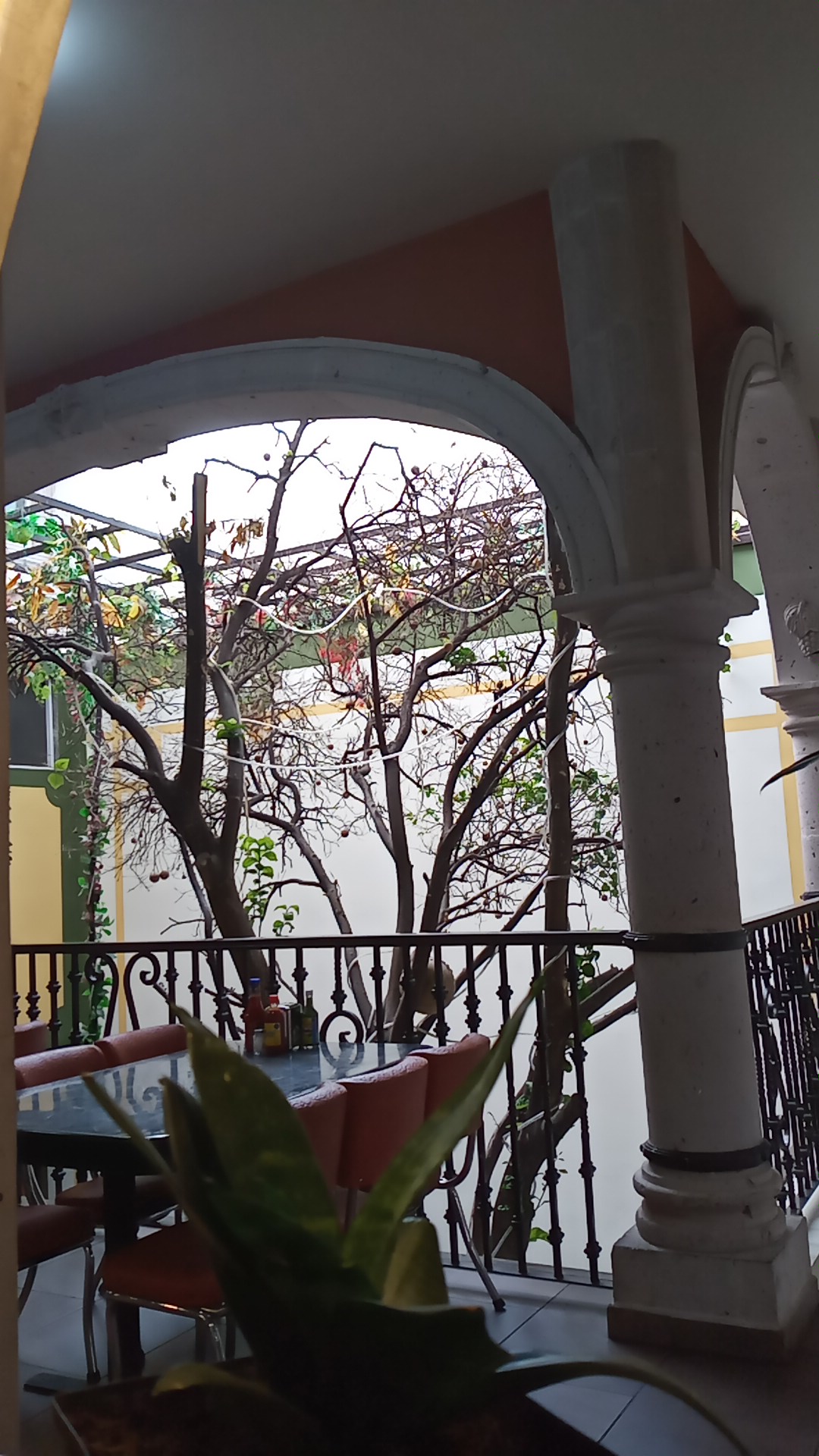 Mariscos 7 mares image 10