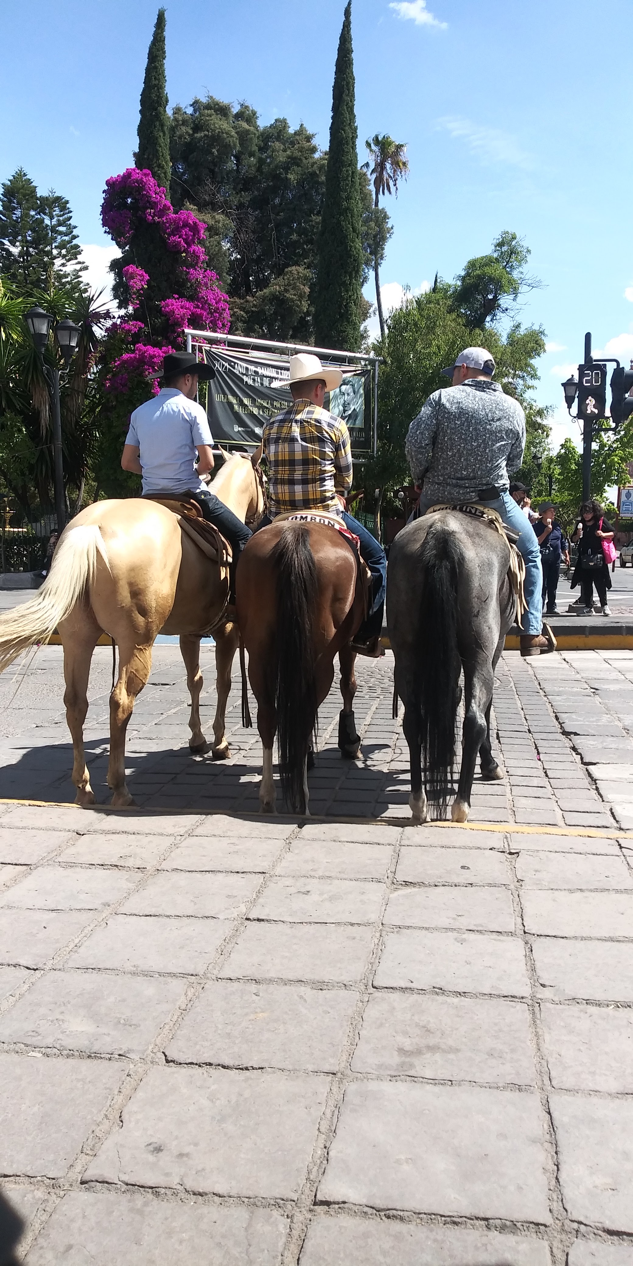 La Antigua Holanda image 4