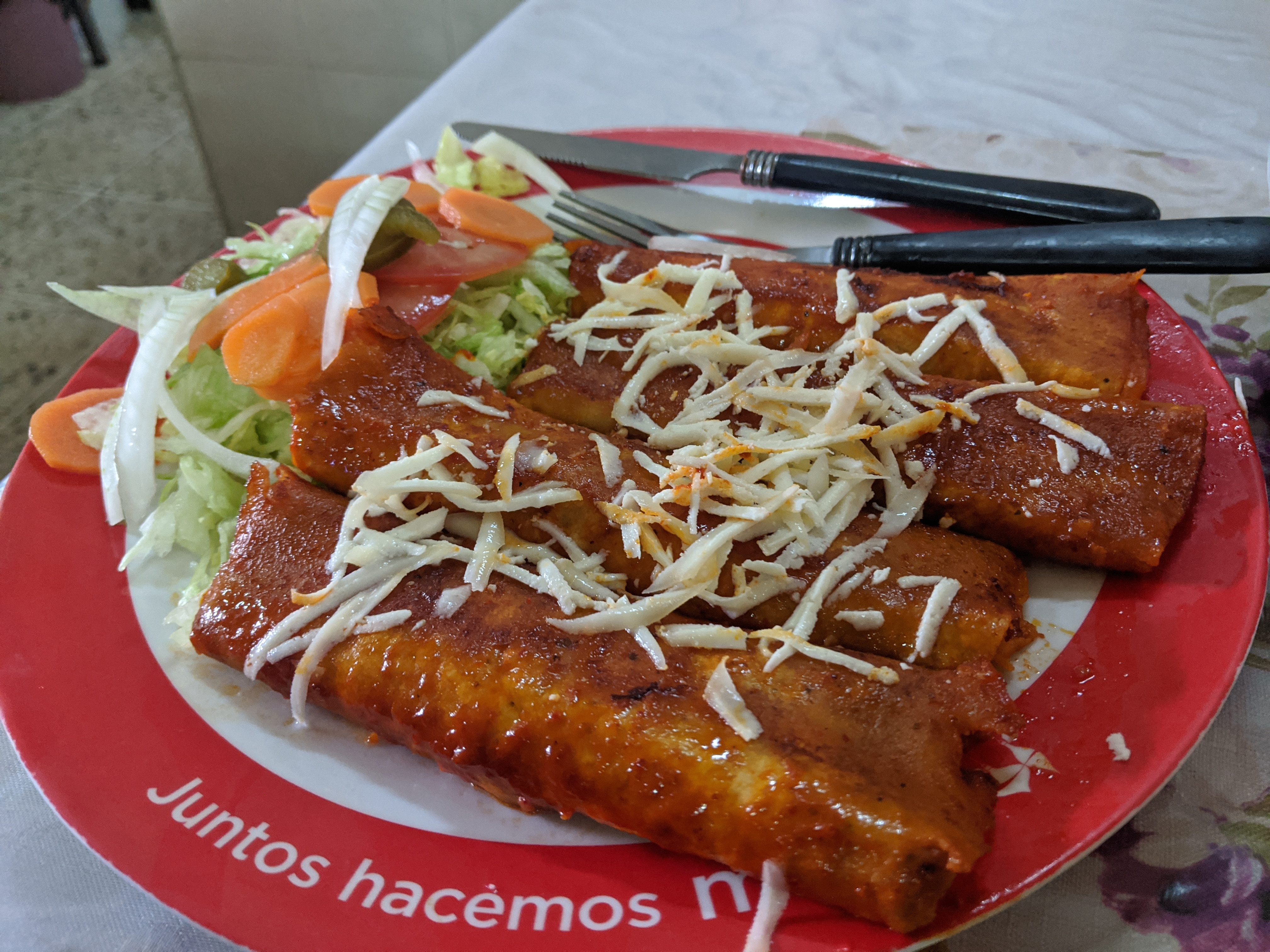 Menudo "El PROFE" image 1