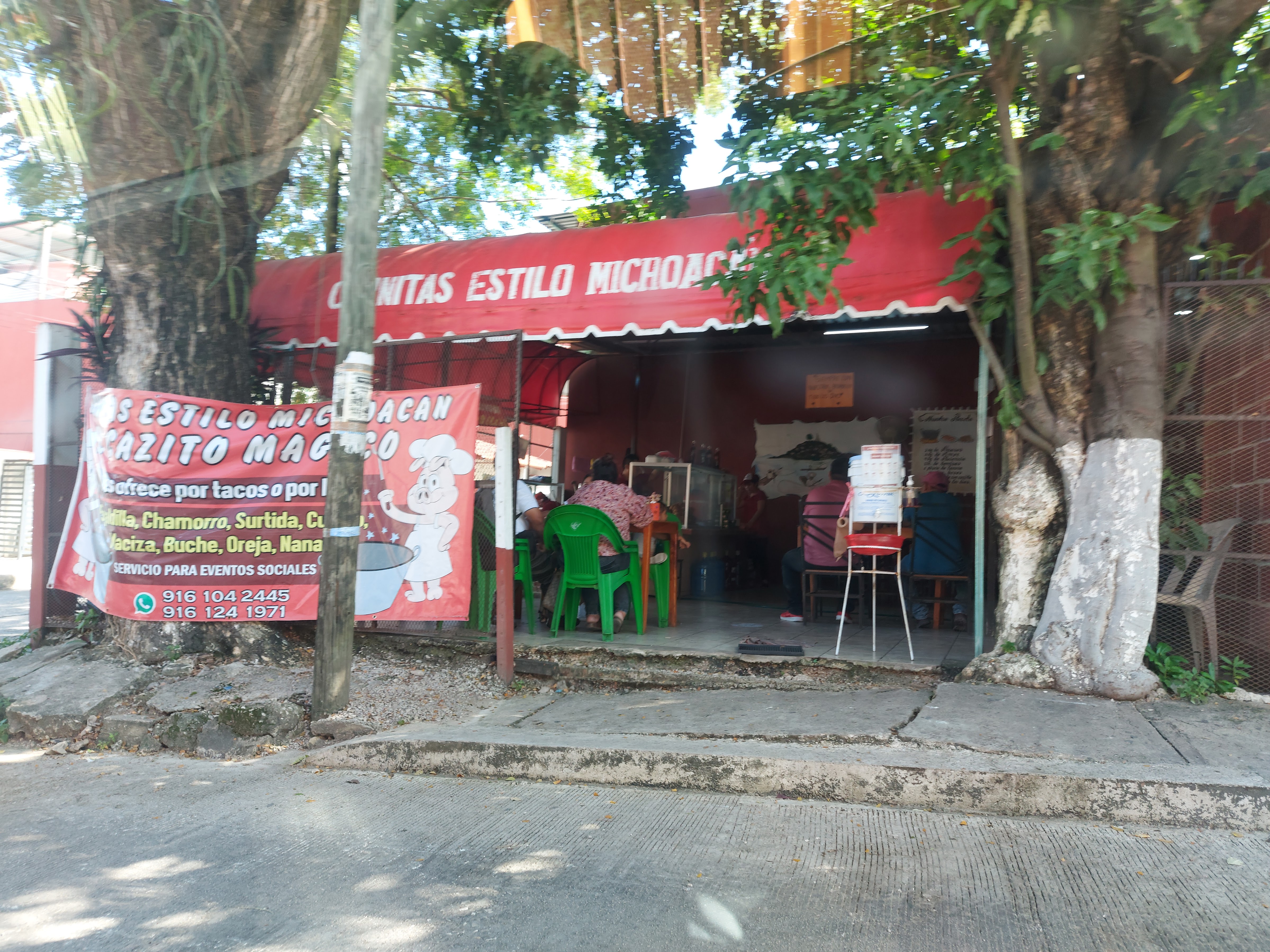 Cazito Magico image 3