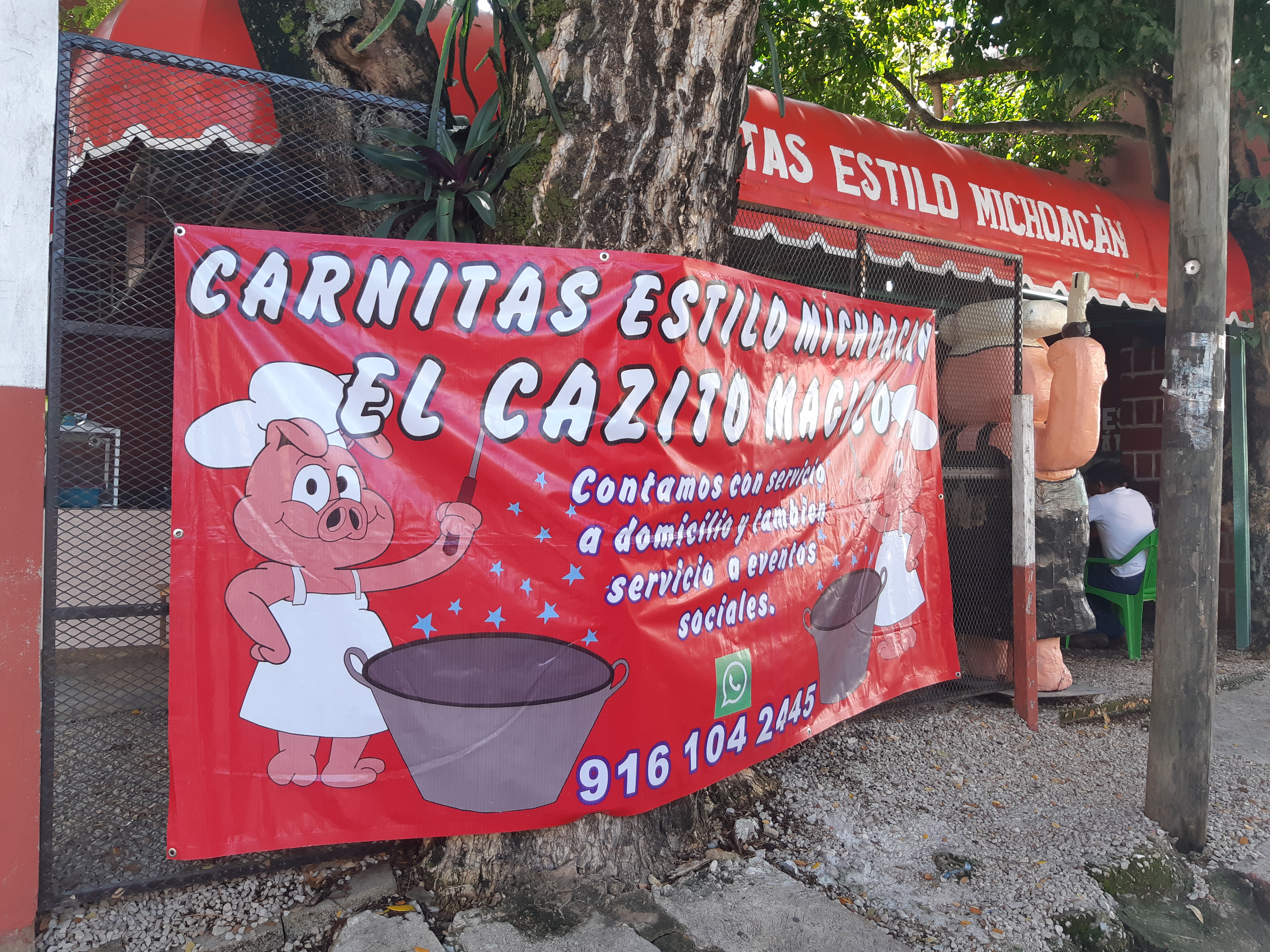 Cazito Magico image 4