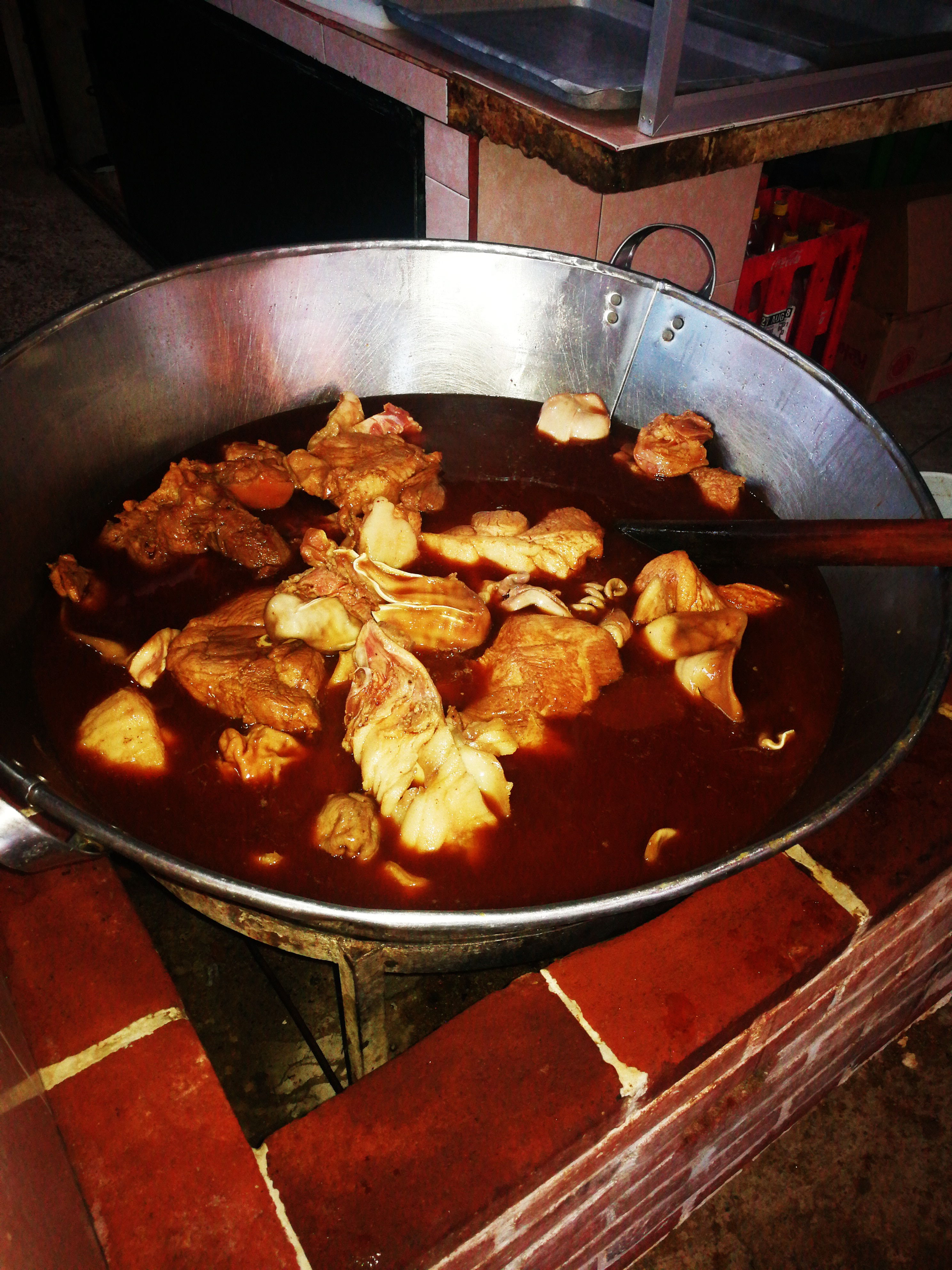 Cazito Magico image 5