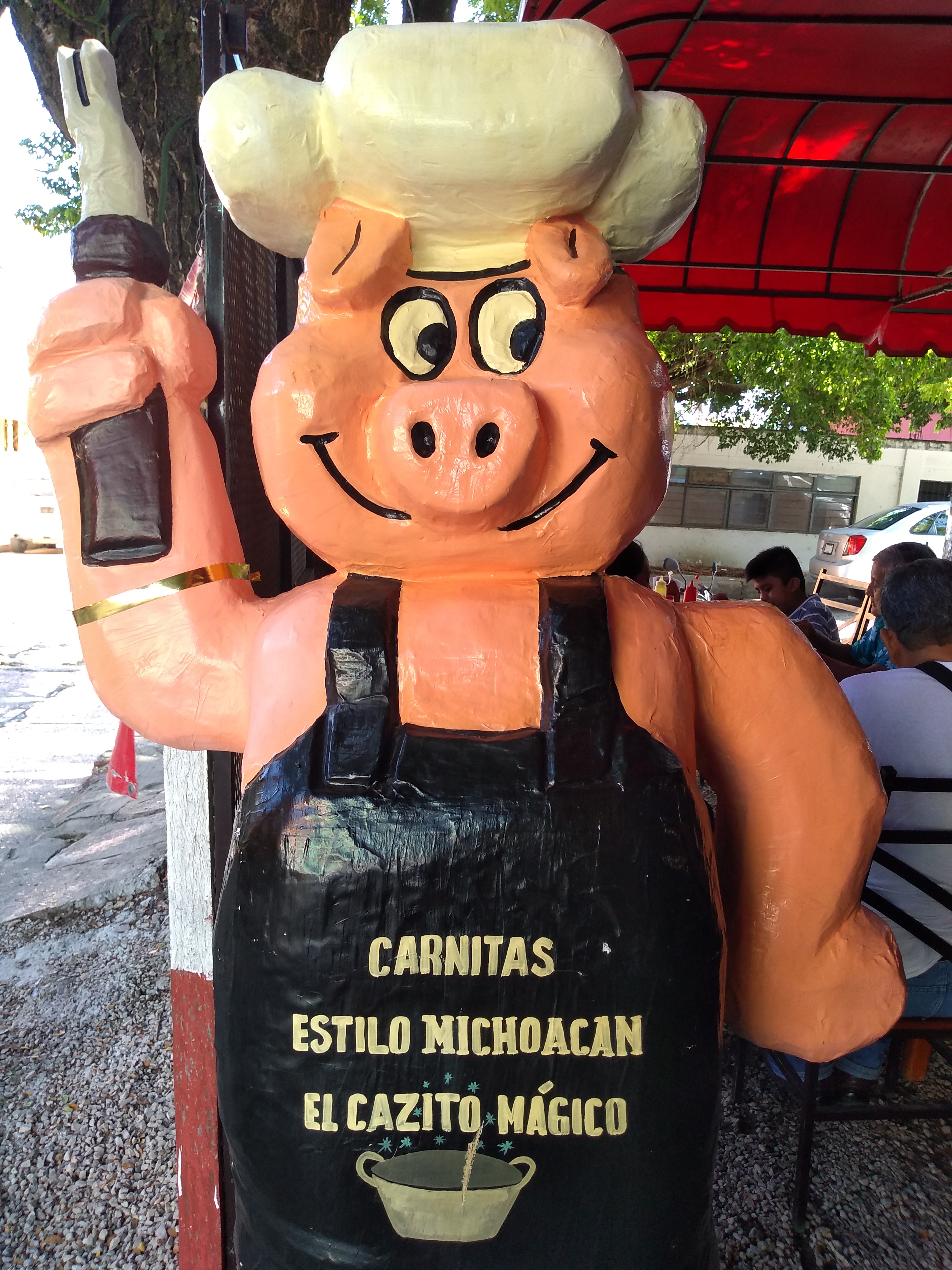 Cazito Magico image 7