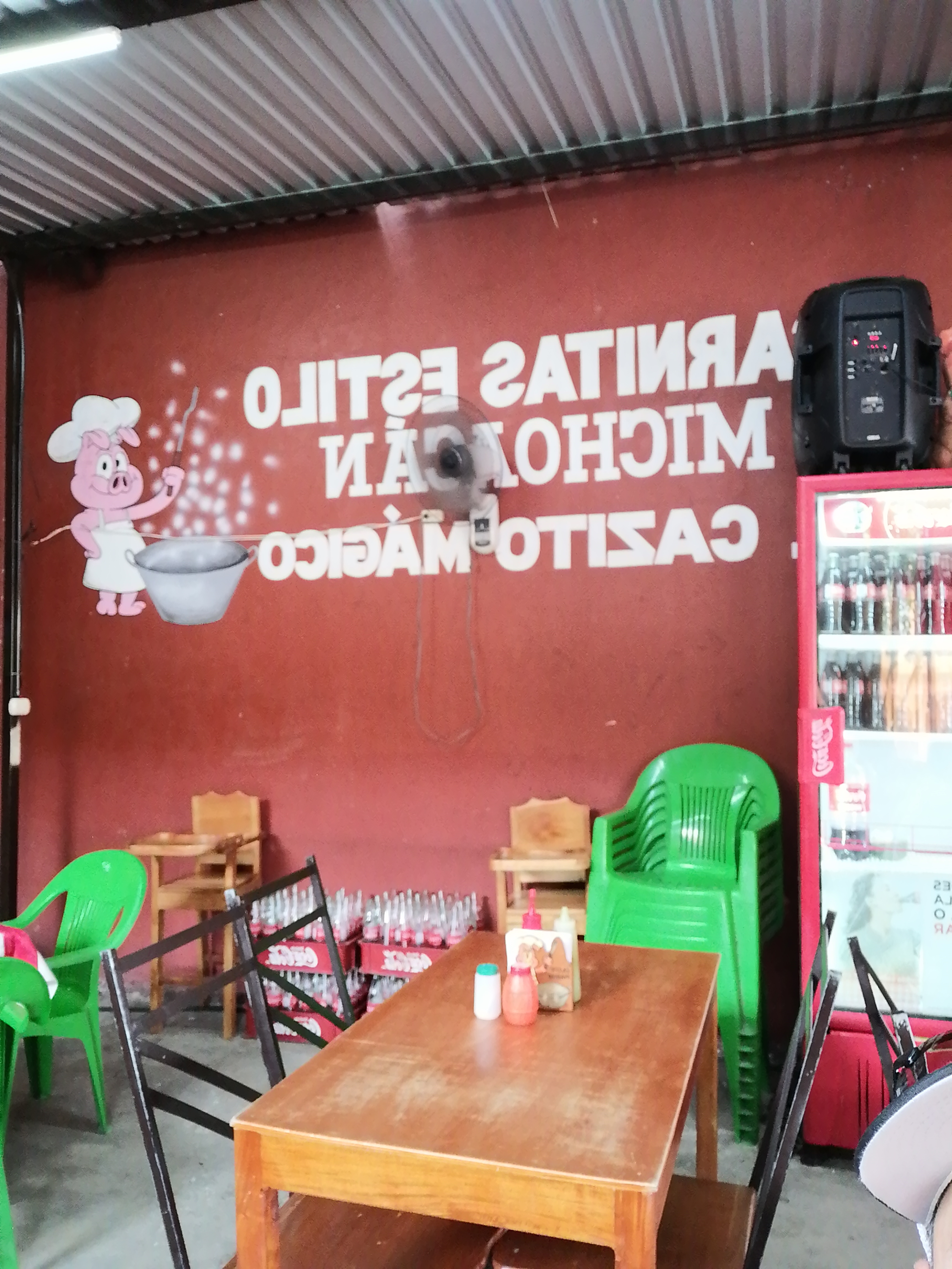 Cazito Magico image 10