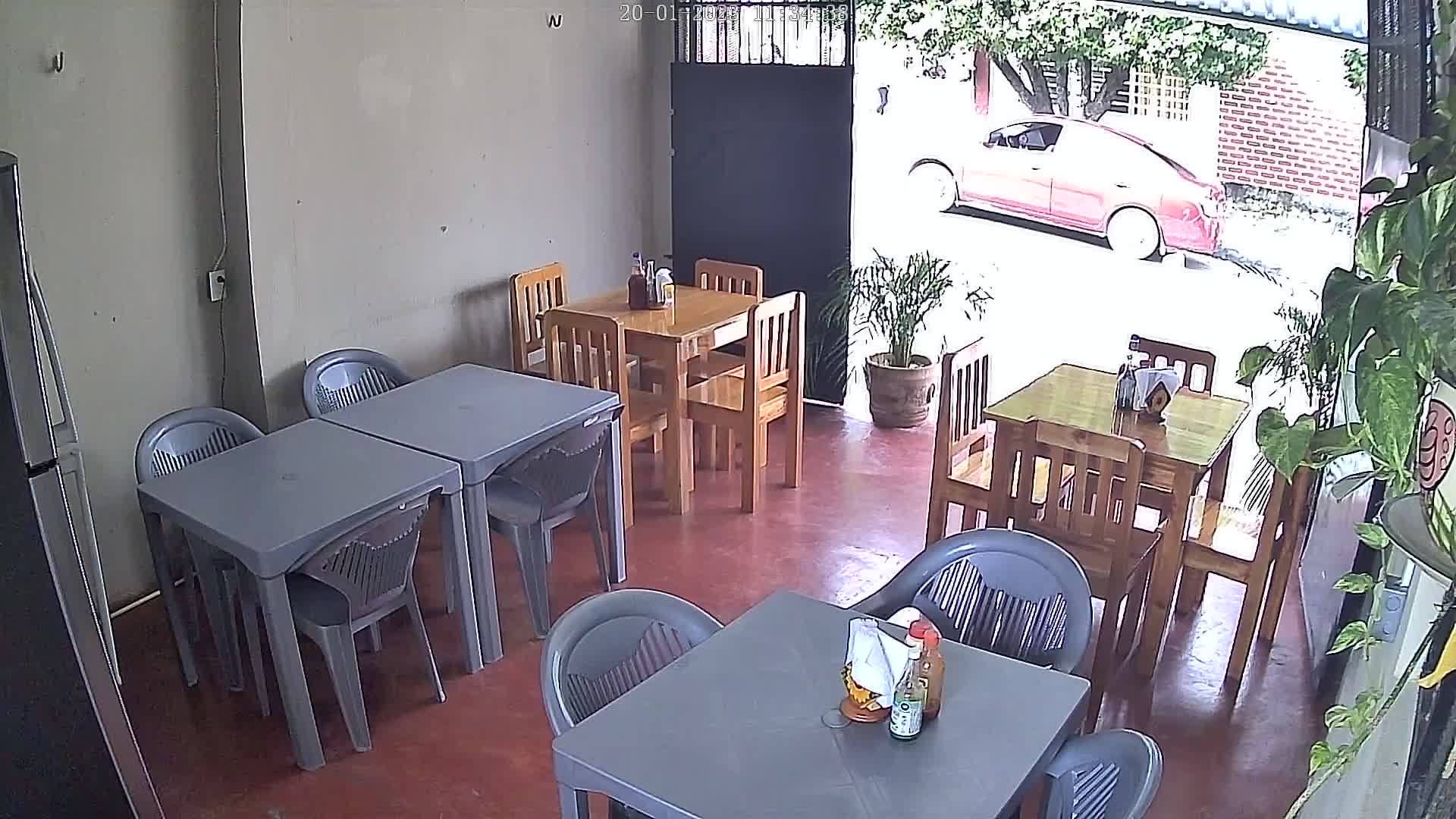 El calamar palenque image 1