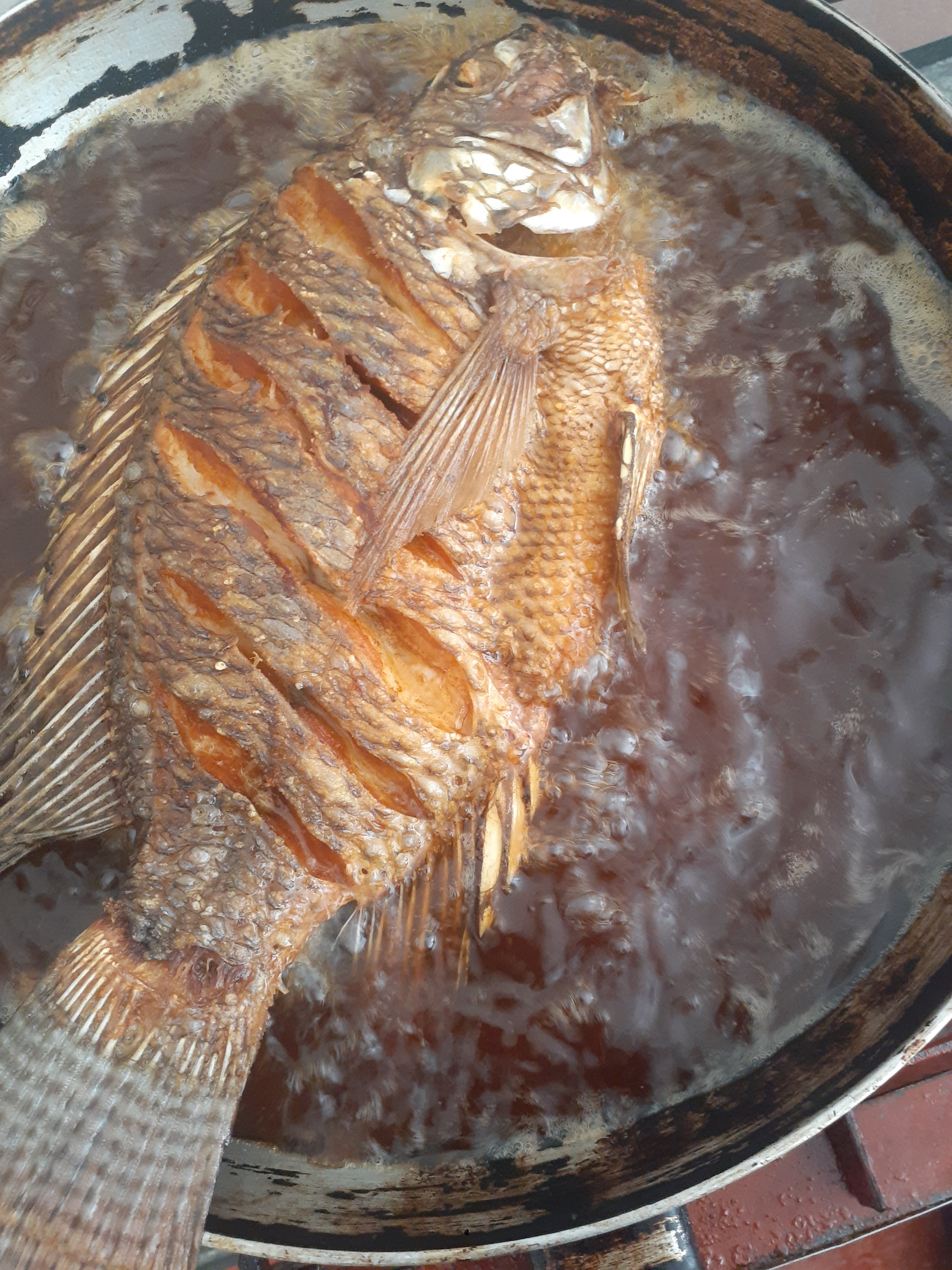 El calamar palenque image 5