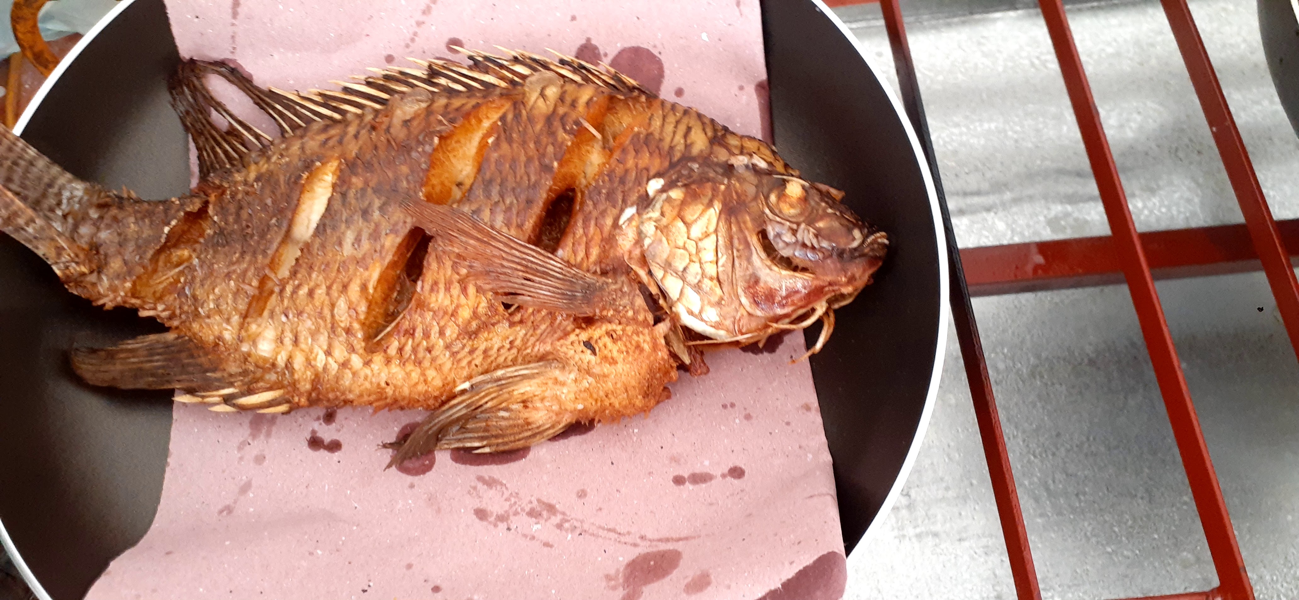 El calamar palenque image 8