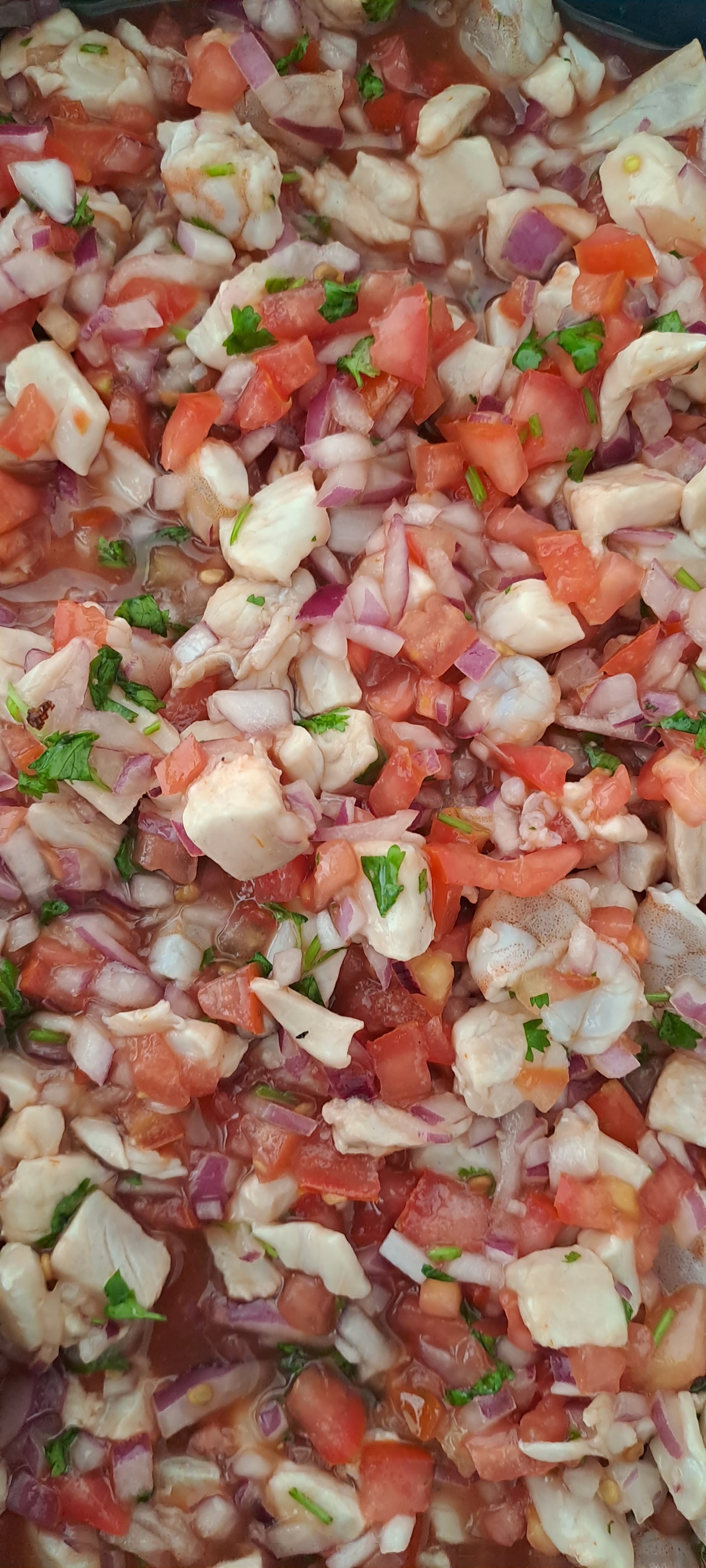 El calamar palenque image 10