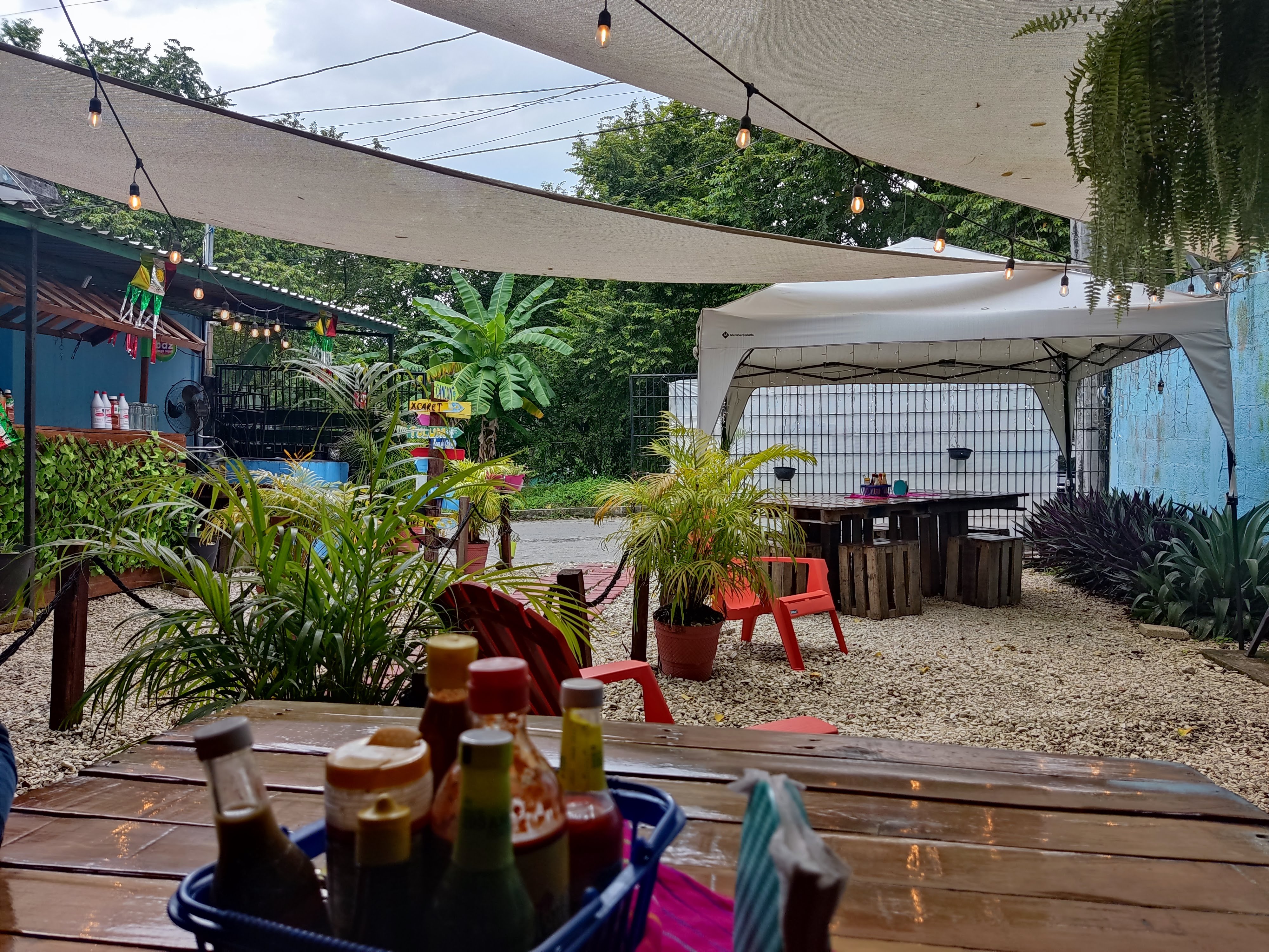 EL MUELLE DE LA COSTA image 10