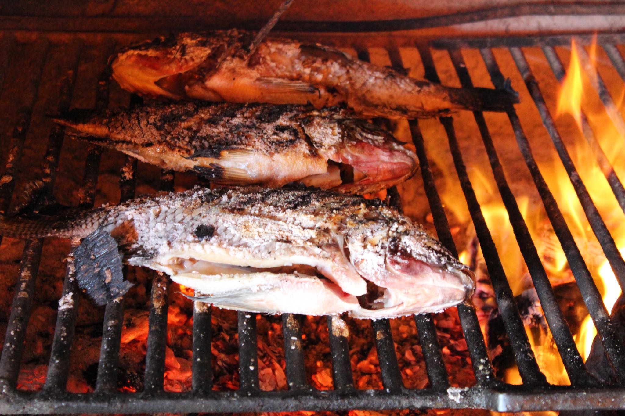 La Tilapia Palapa Familiar image 2