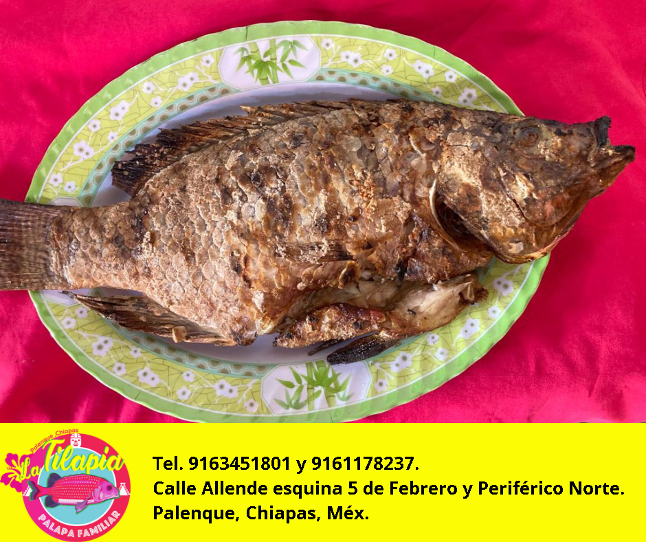La Tilapia Palapa Familiar image 5
