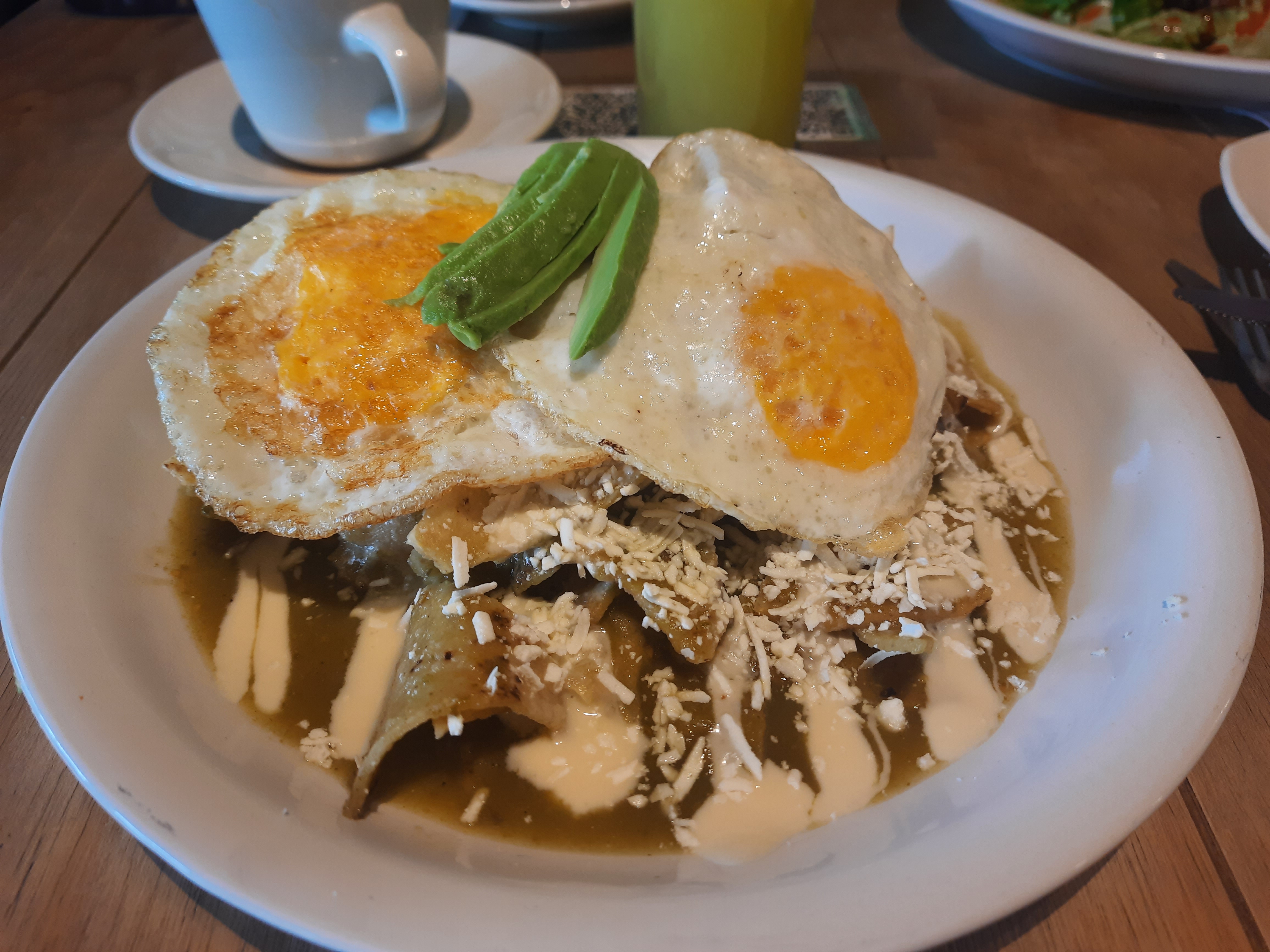 La Jungla Cervecería image 9