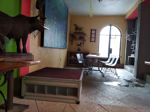 Cafetería tres image 5