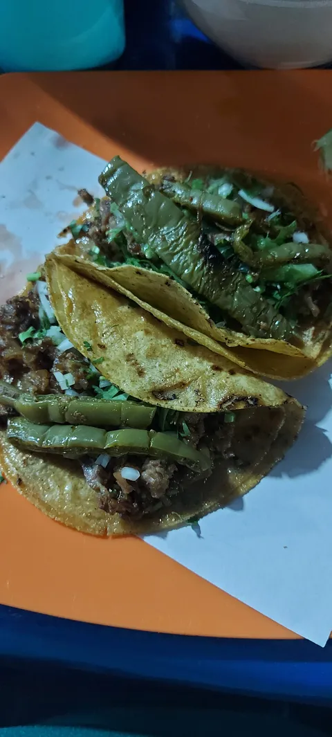 Tacos don José *1983* sabor y tradicion image 2
