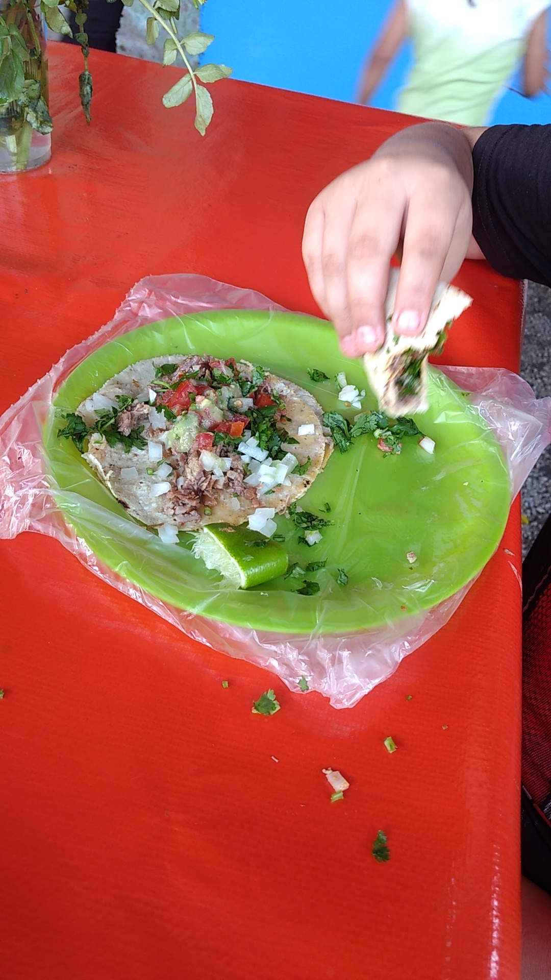 Tacos don José *1983* sabor y tradicion image 3