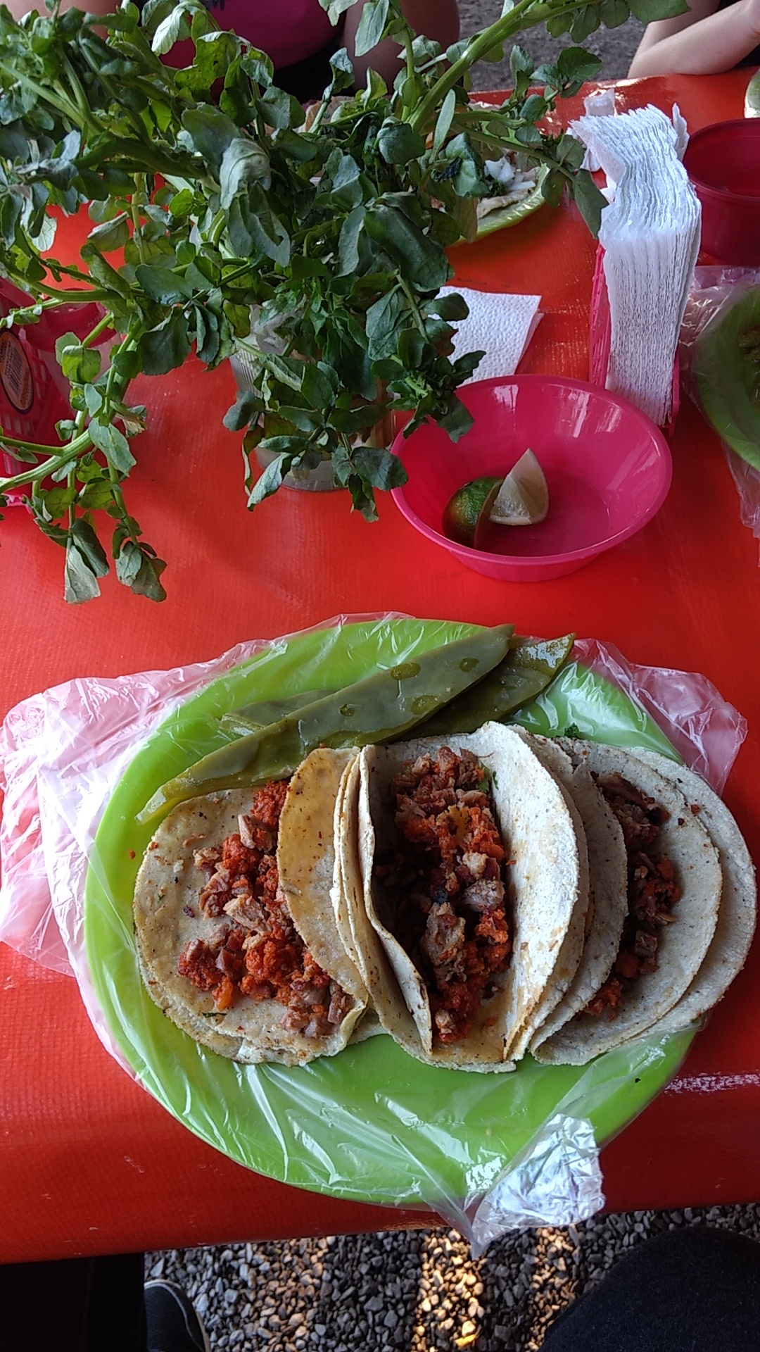 Tacos don José *1983* sabor y tradicion image 4