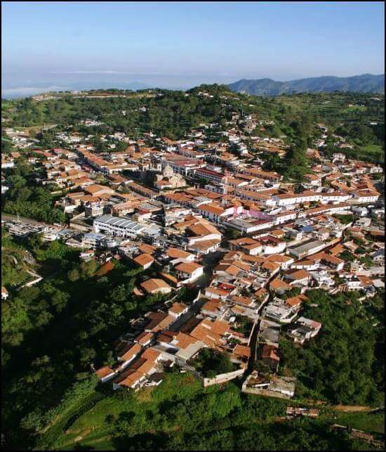 GALLETAS "FRUTA DE HORNO" CASA ARELLANO image 3
