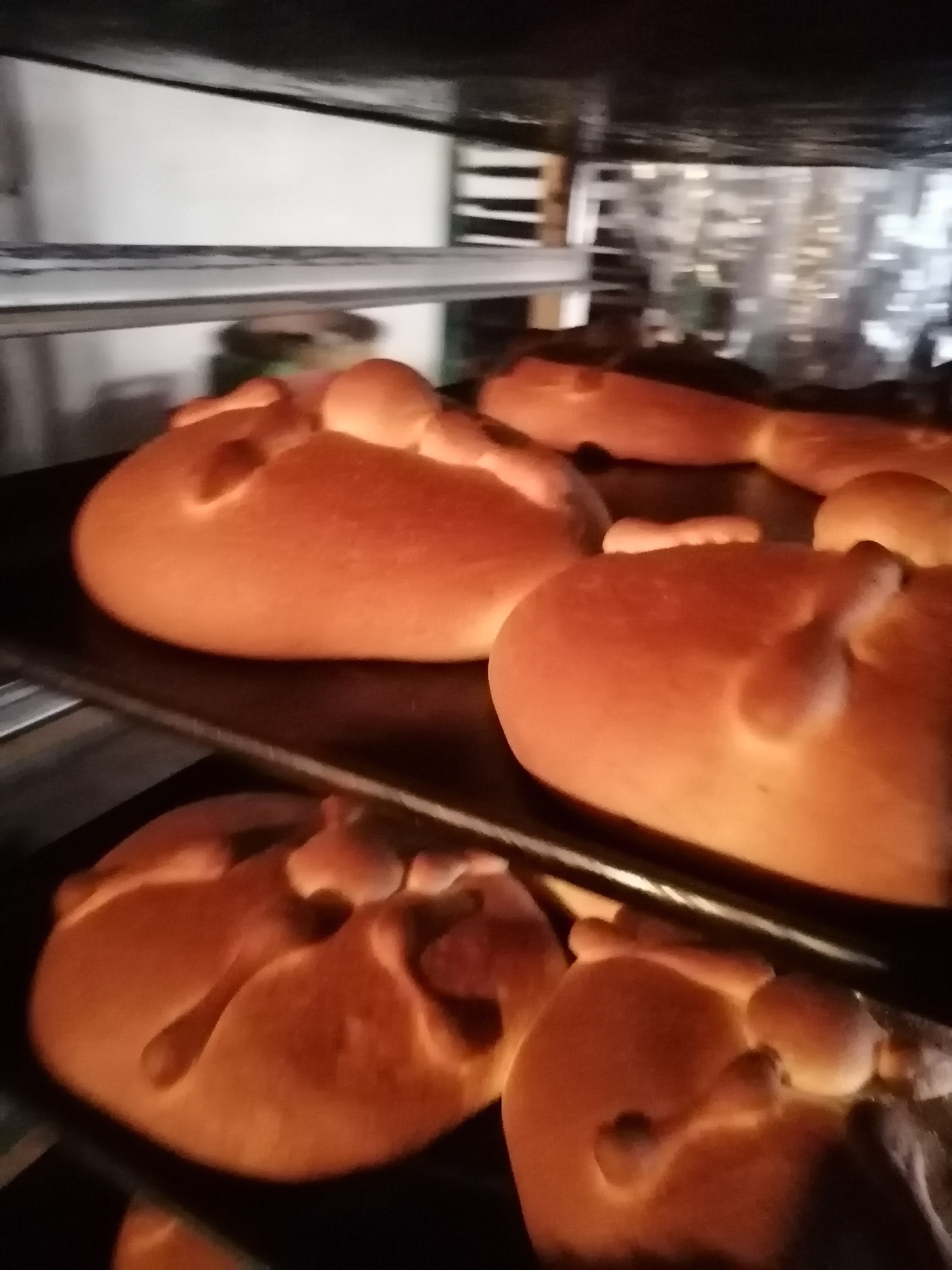 GALLETAS "FRUTA DE HORNO" CASA ARELLANO image 10